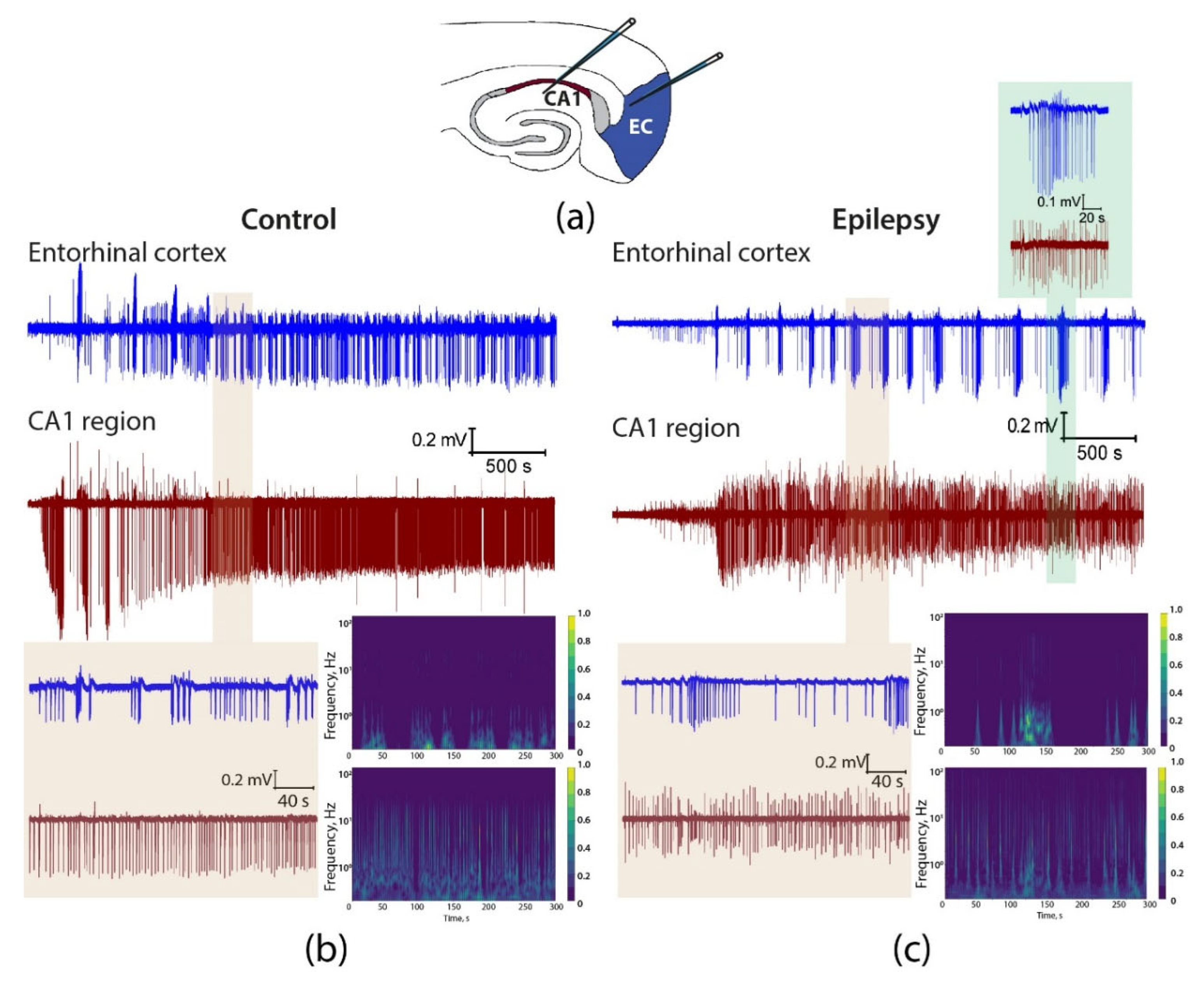 Preprints 109985 g006