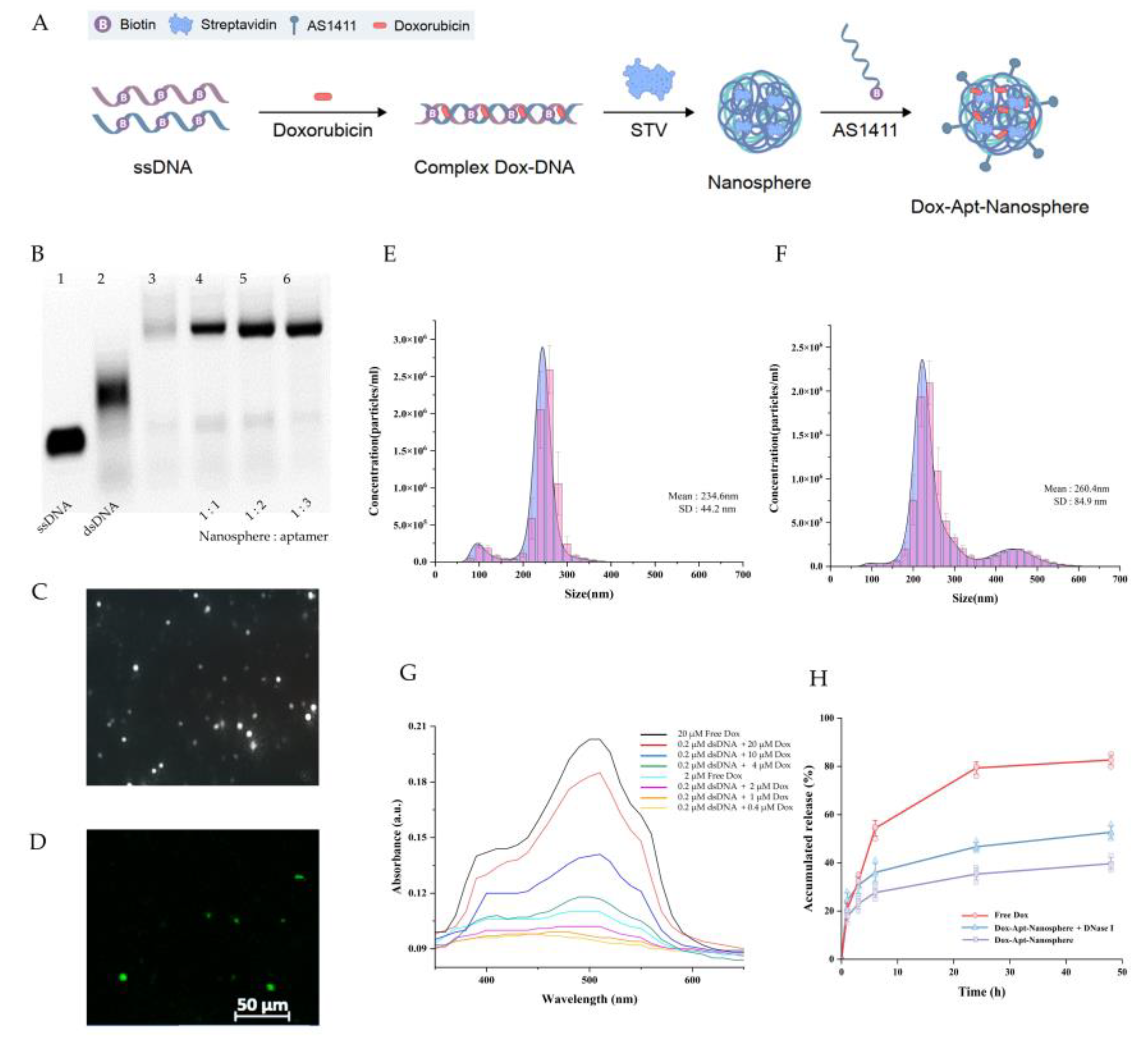 Preprints 102836 g001