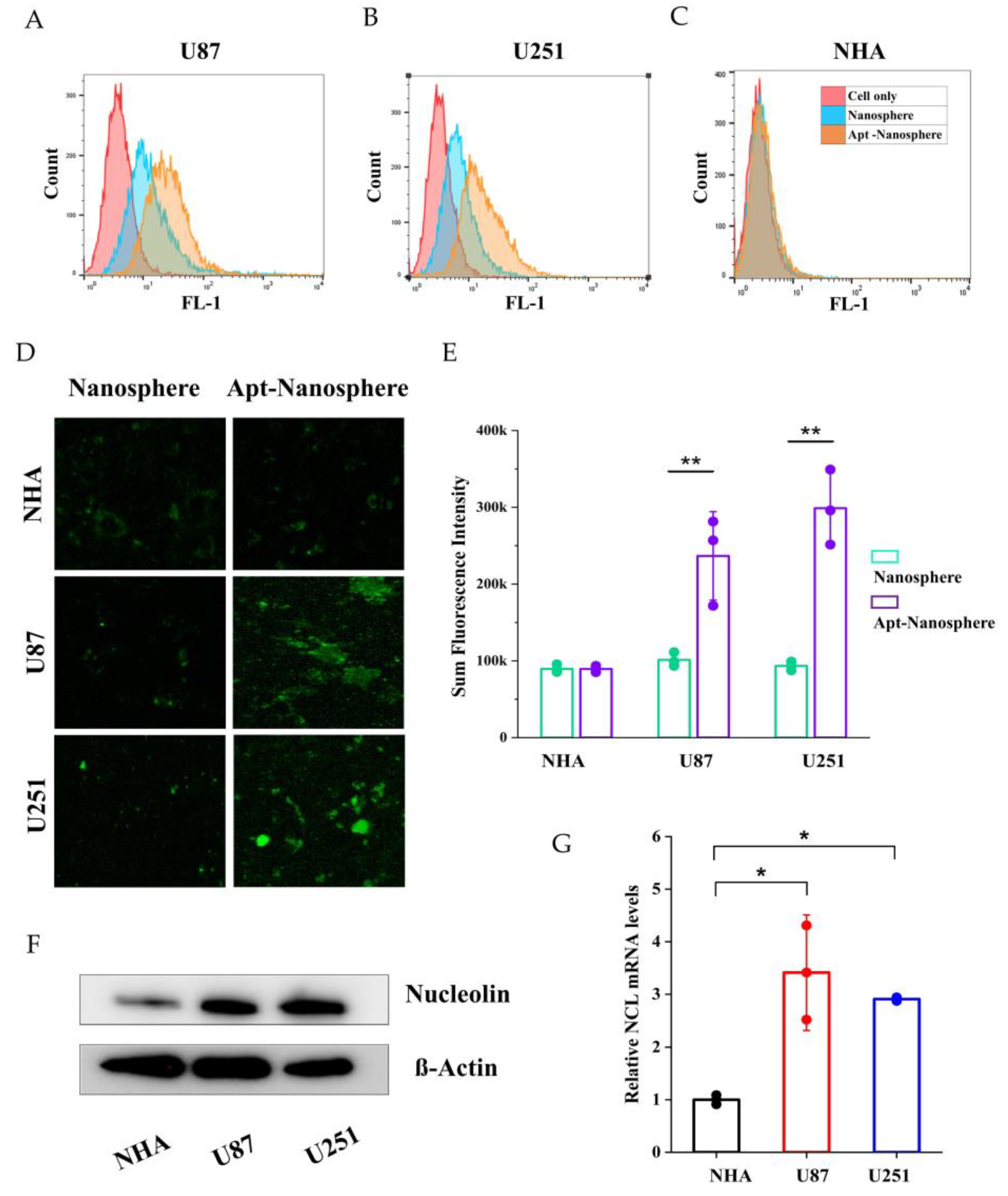 Preprints 102836 g002