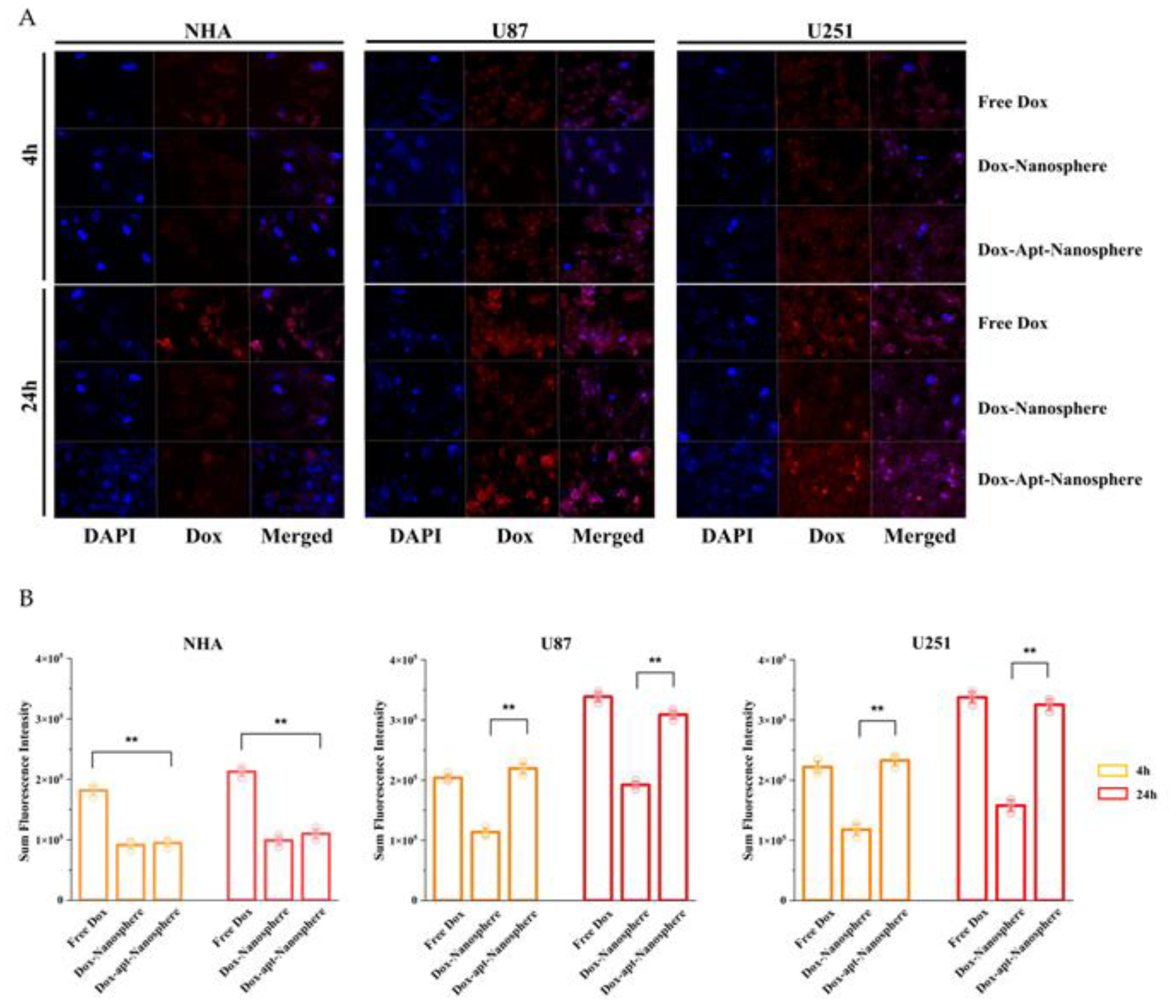 Preprints 102836 g004