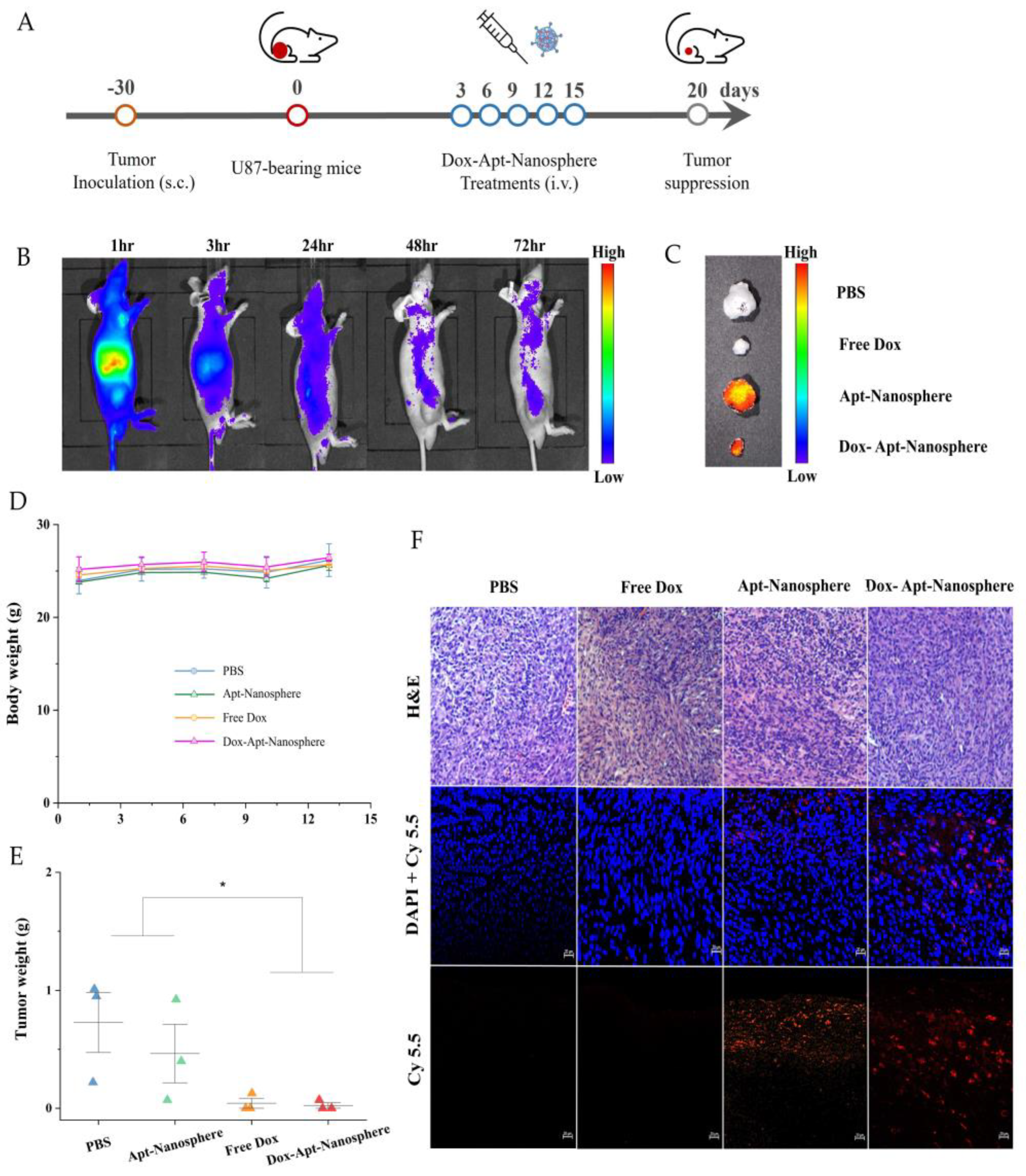 Preprints 102836 g006