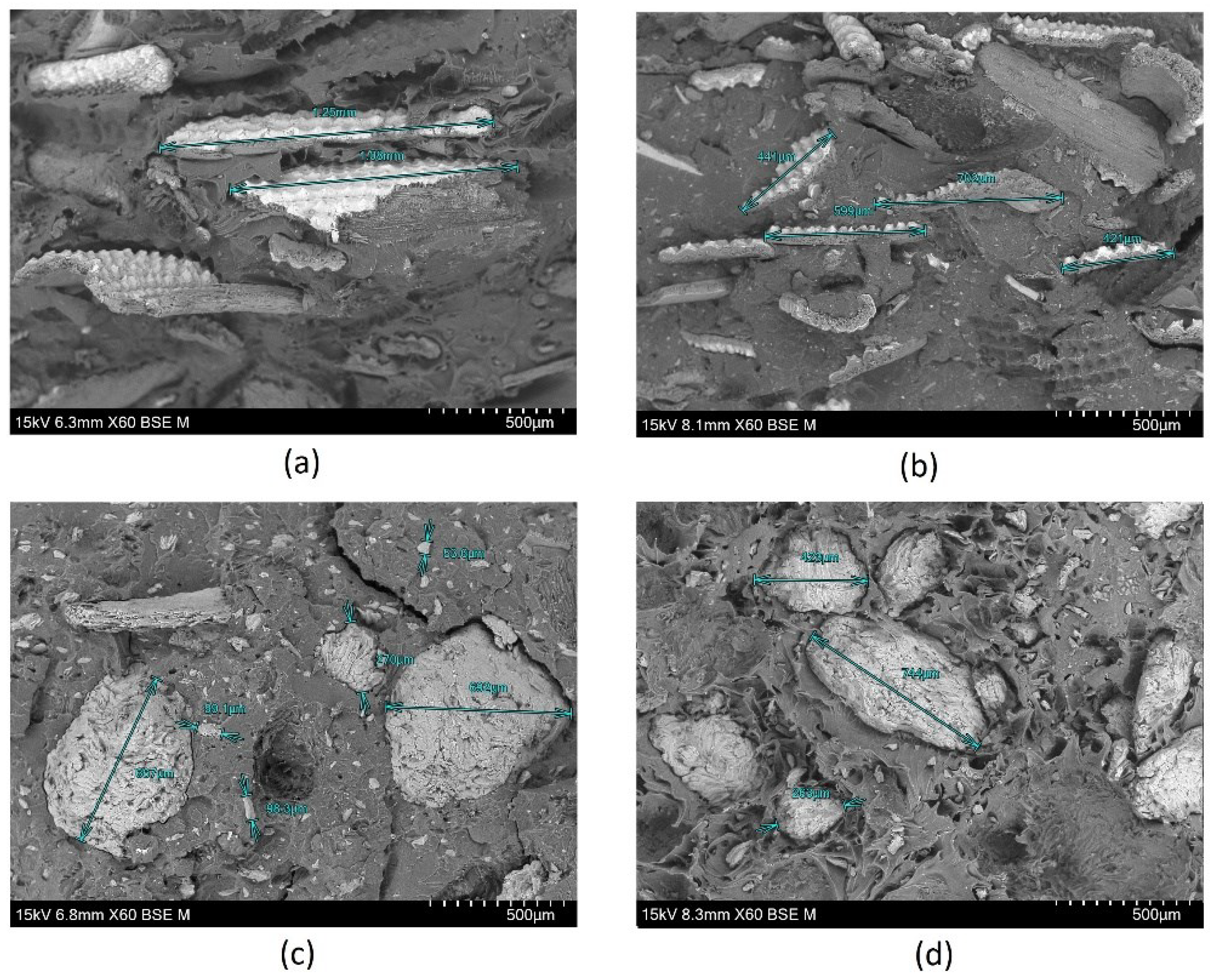 Preprints 92788 g001