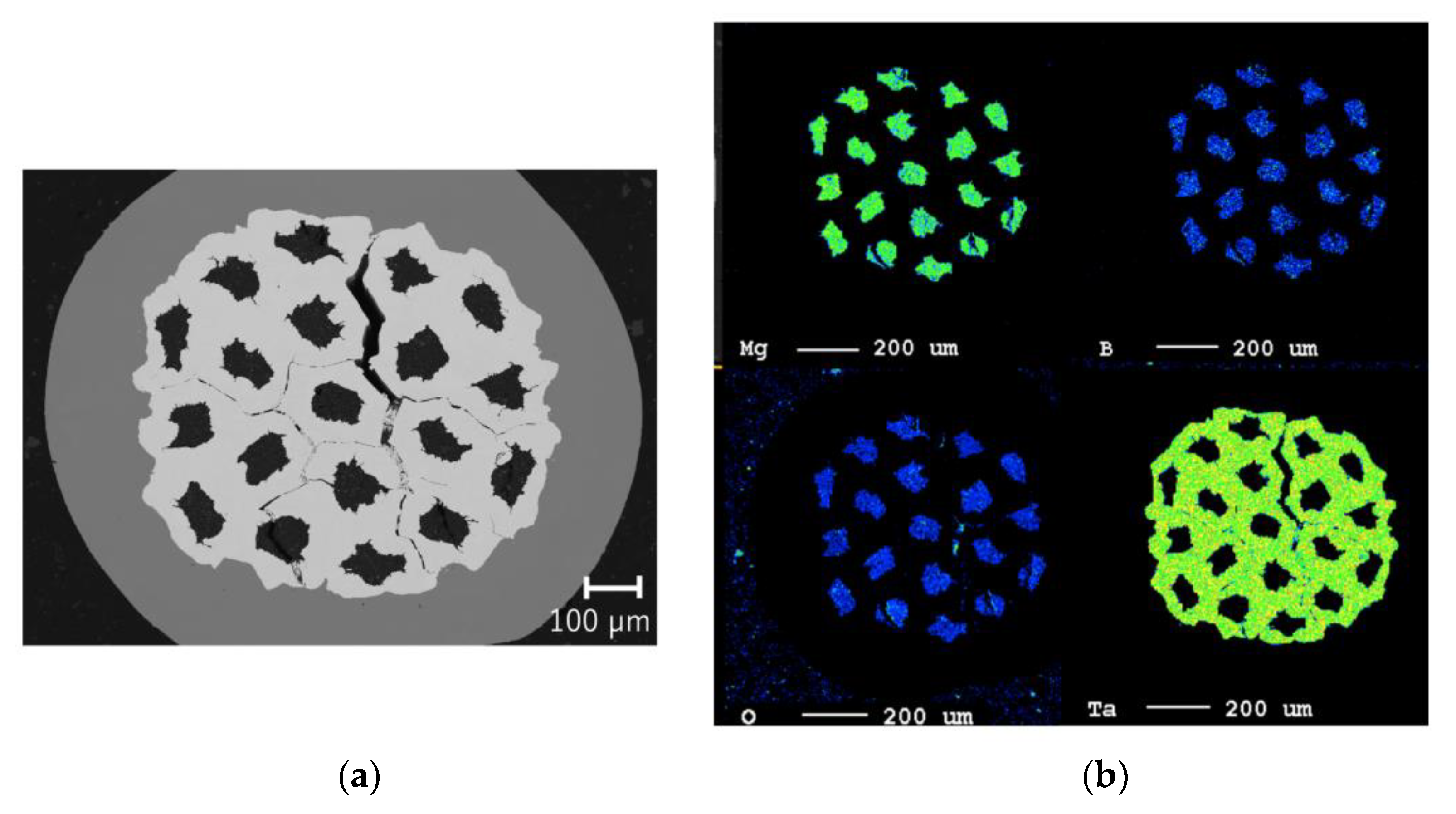 Preprints 80360 g001