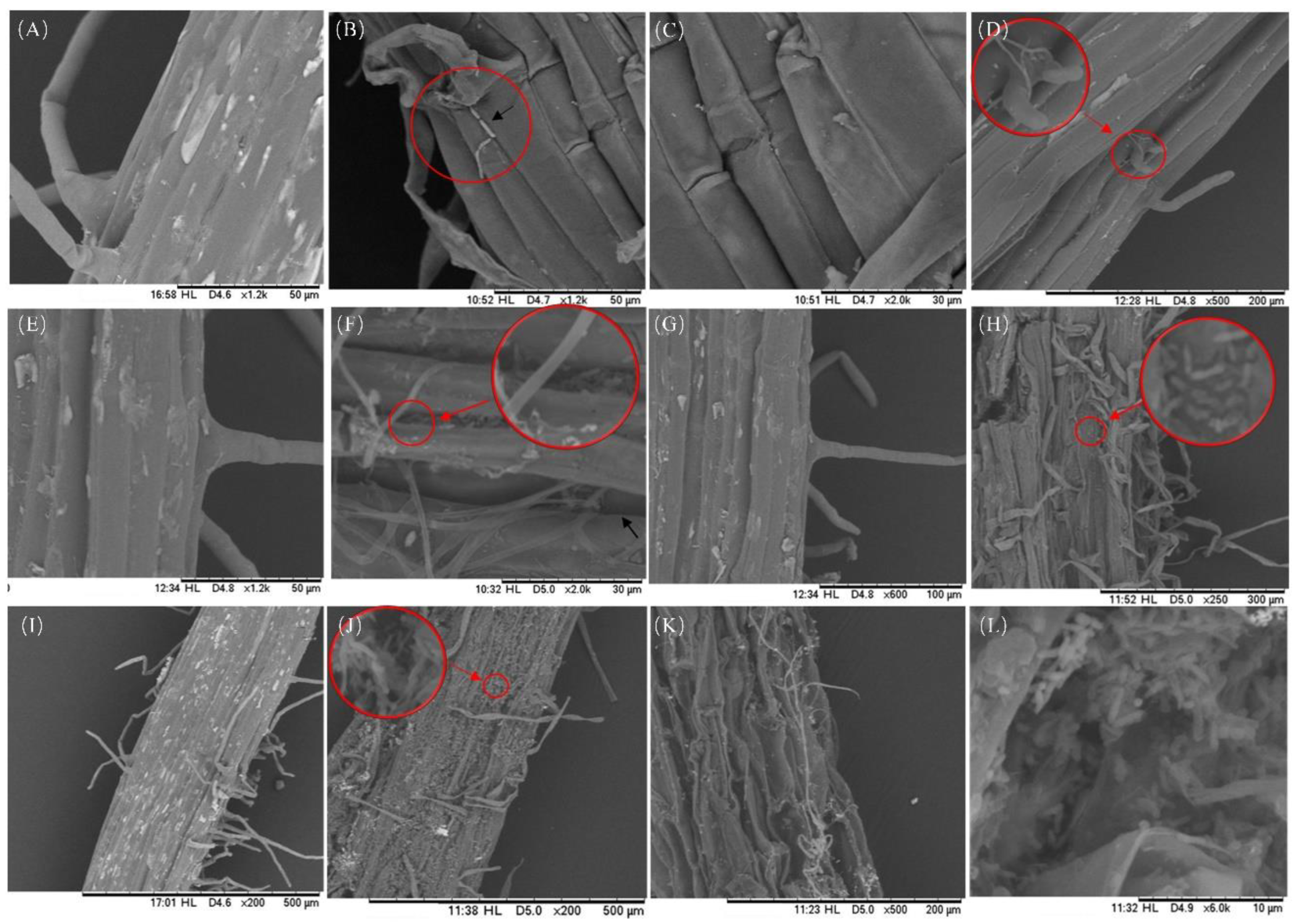 Preprints 90339 g006