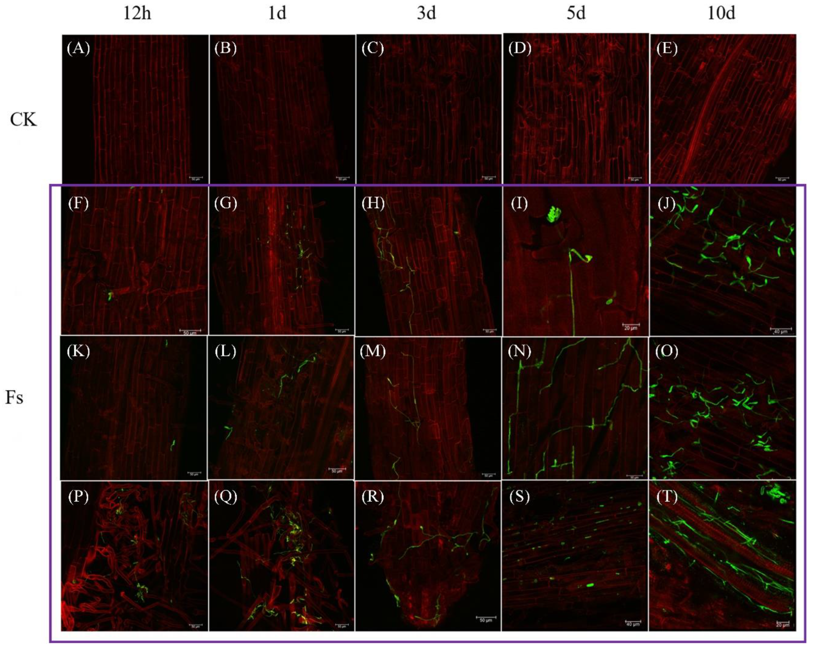 Preprints 90339 g007