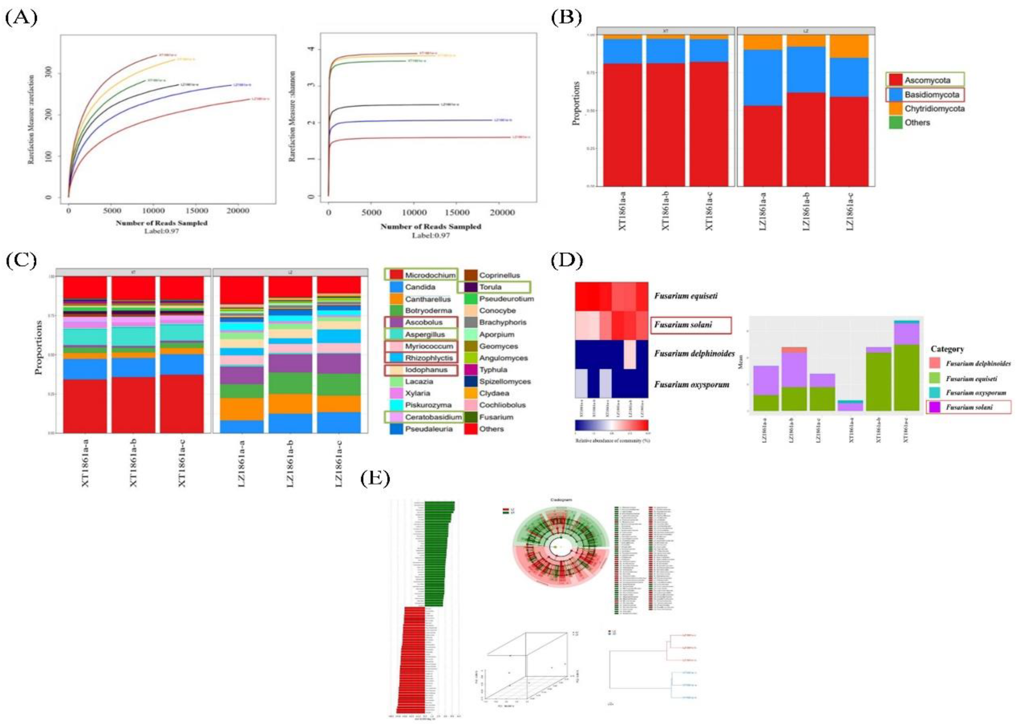 Preprints 90339 g010