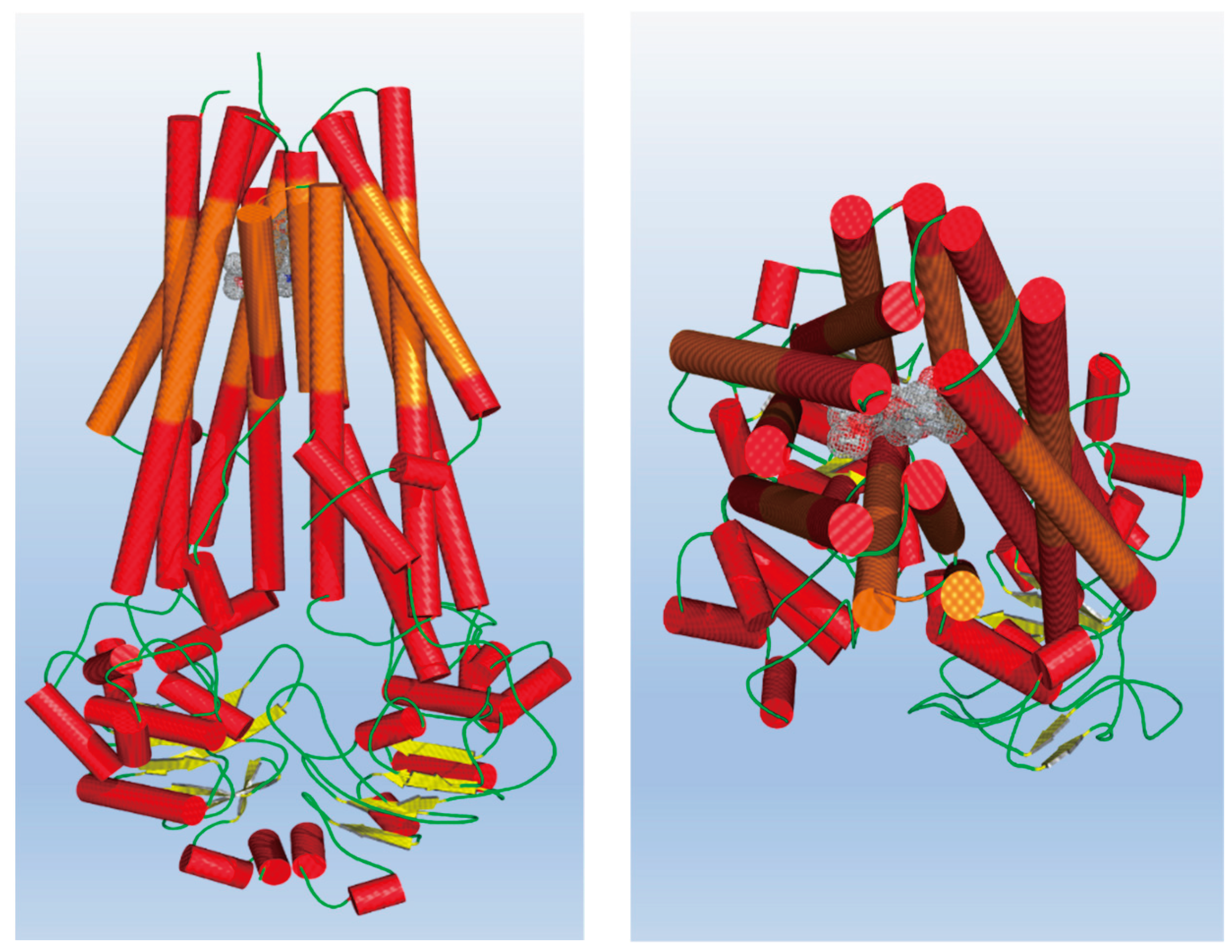 Preprints 100854 g002