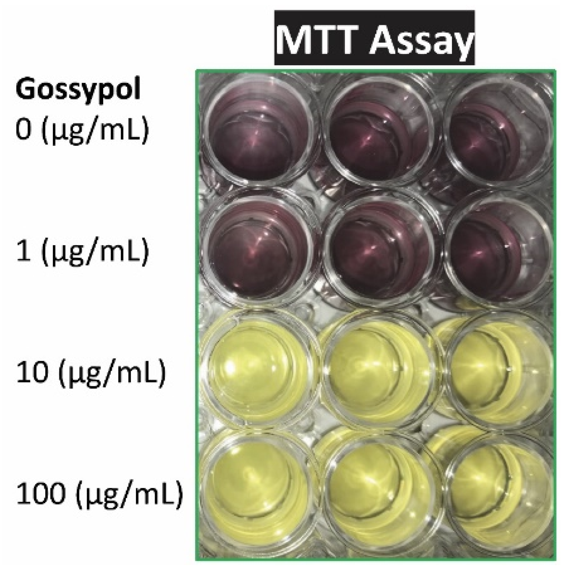 Preprints 68555 g002