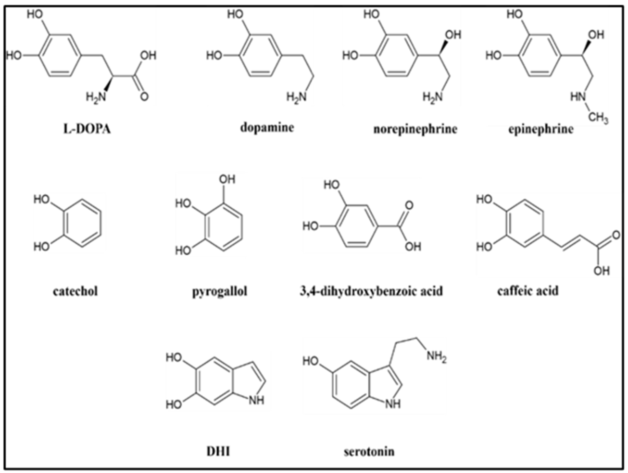 Preprints 110540 g001