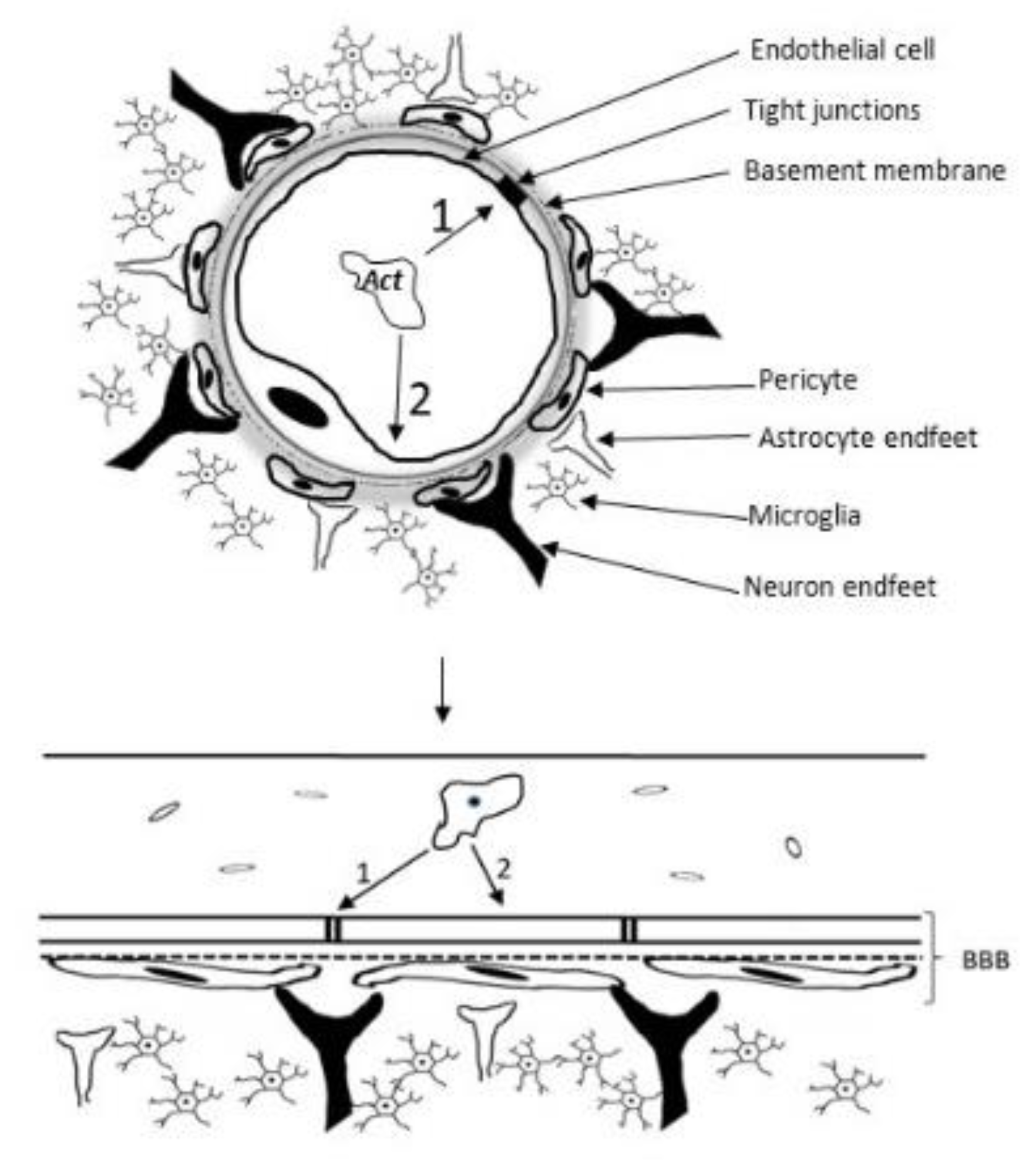 Preprints 106618 g009