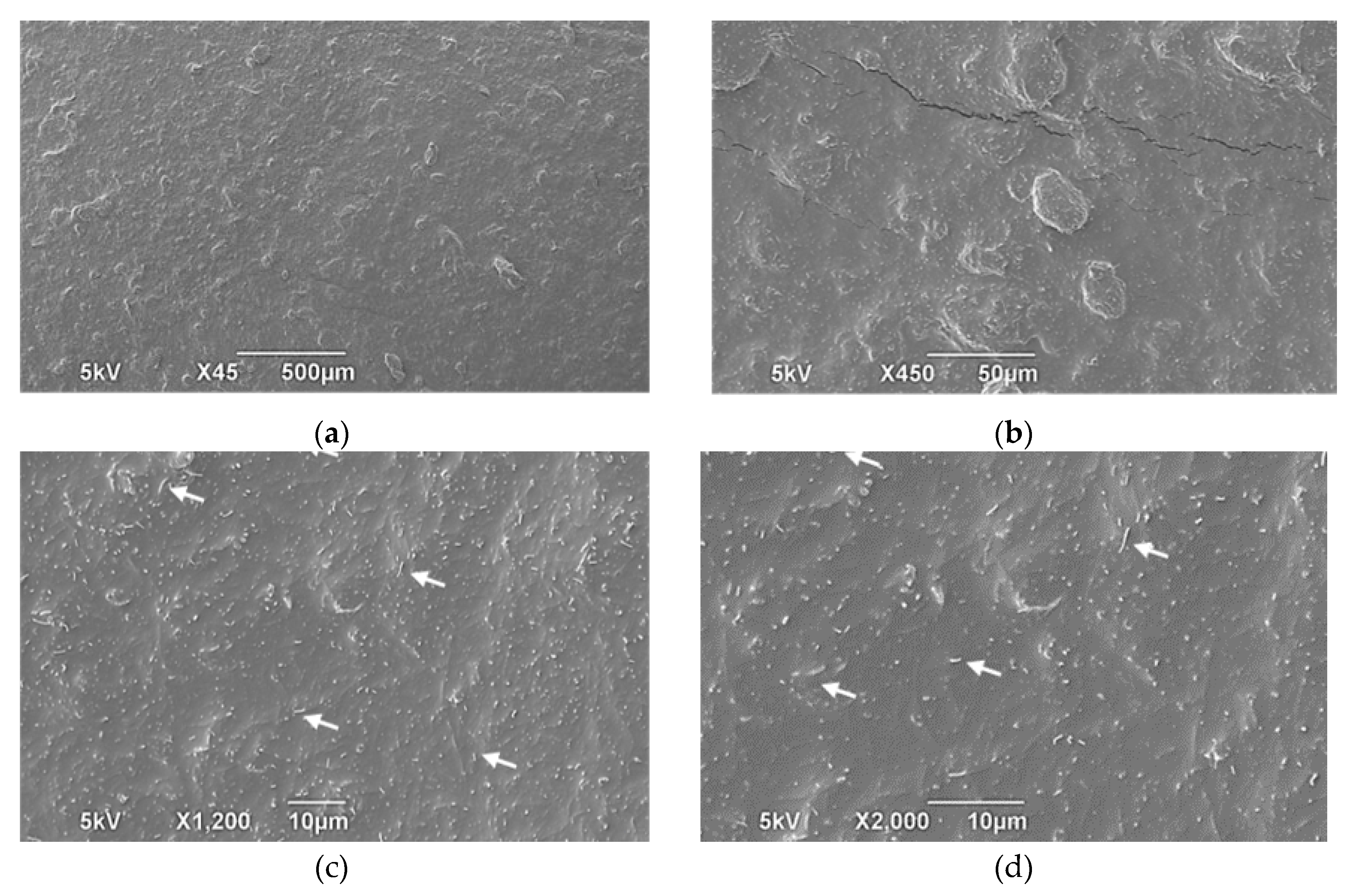 Preprints 118018 g007