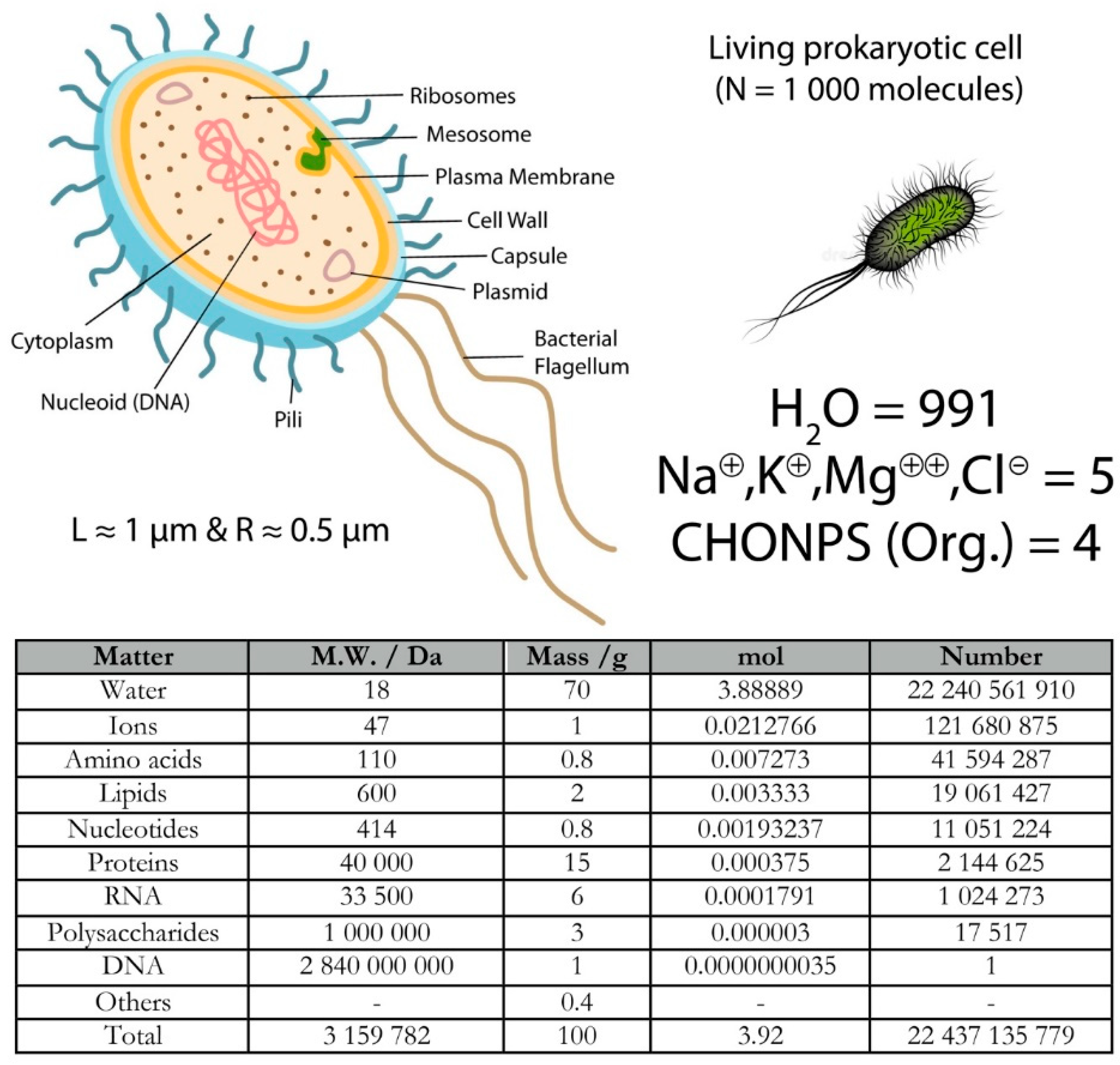 Preprints 114448 g004