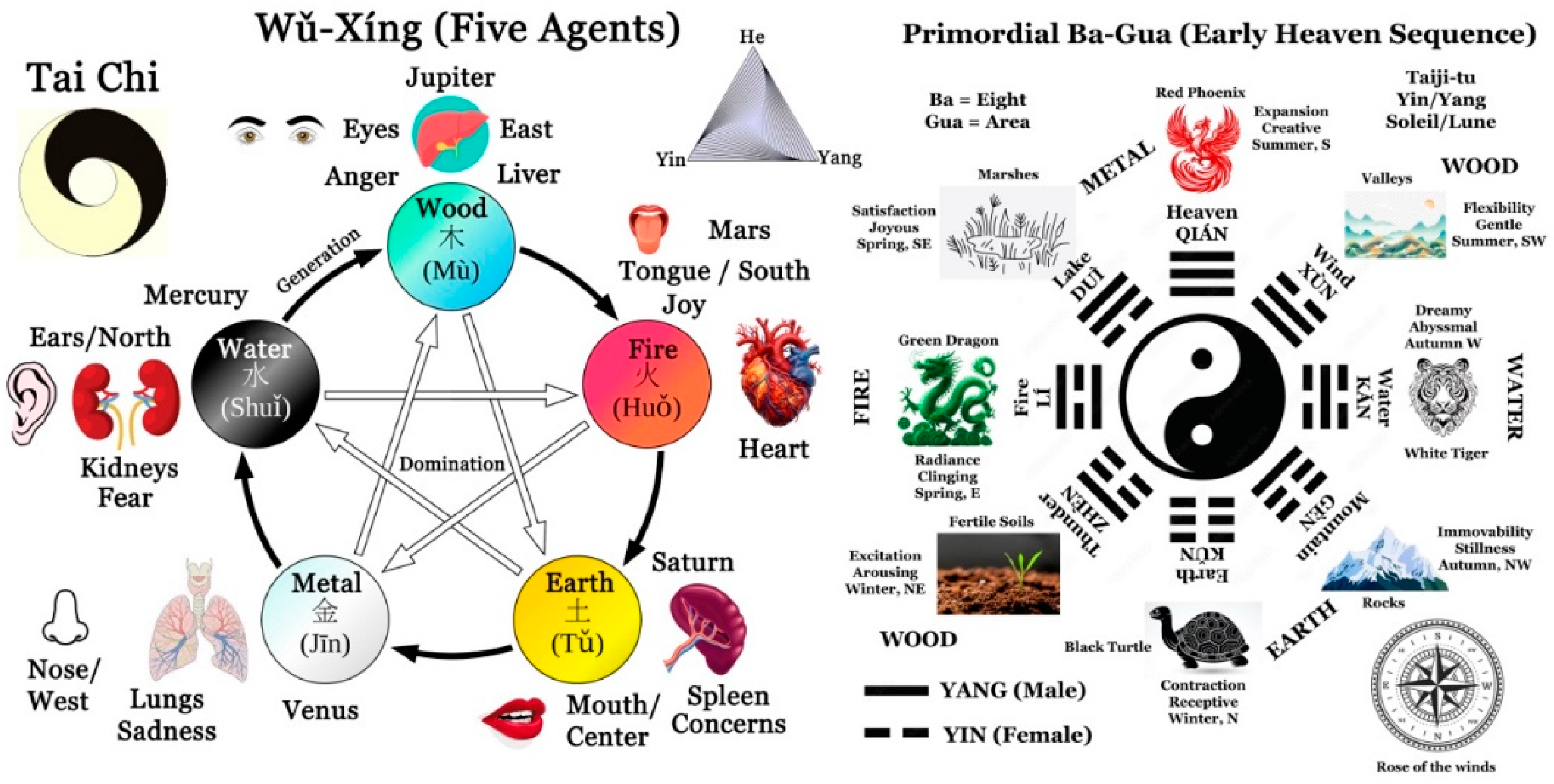 Preprints 114448 g006