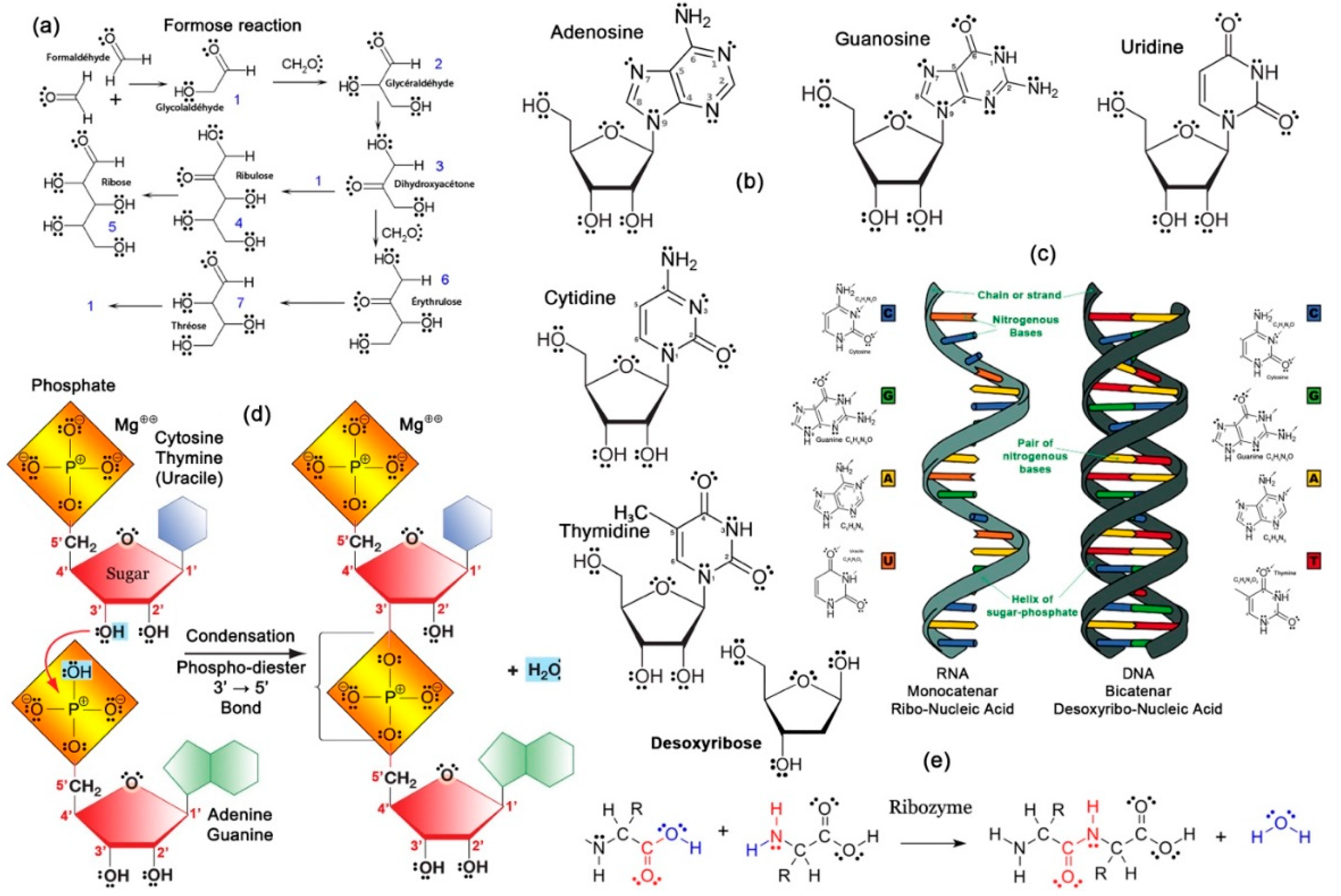 Preprints 114448 g020