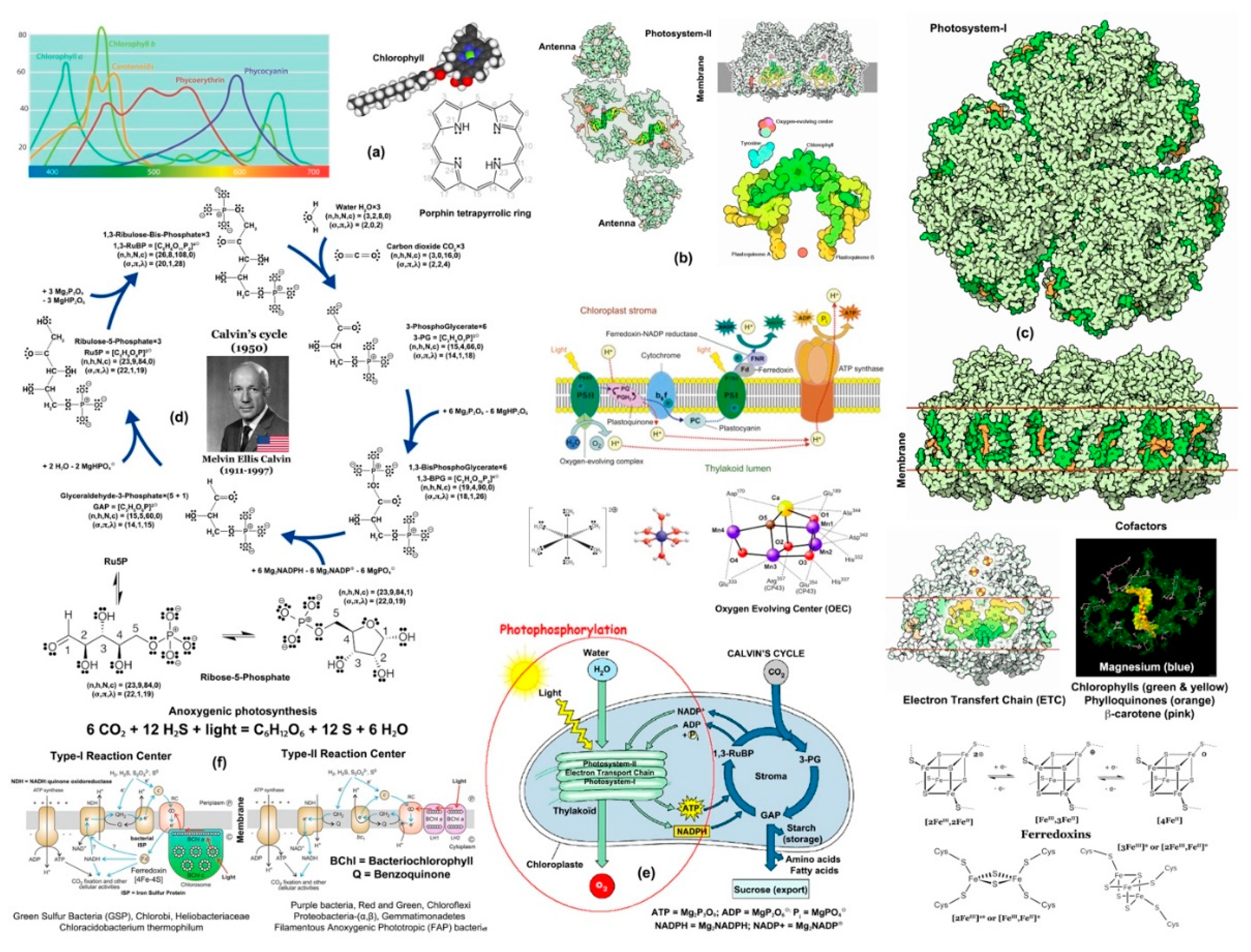 Preprints 114448 g022