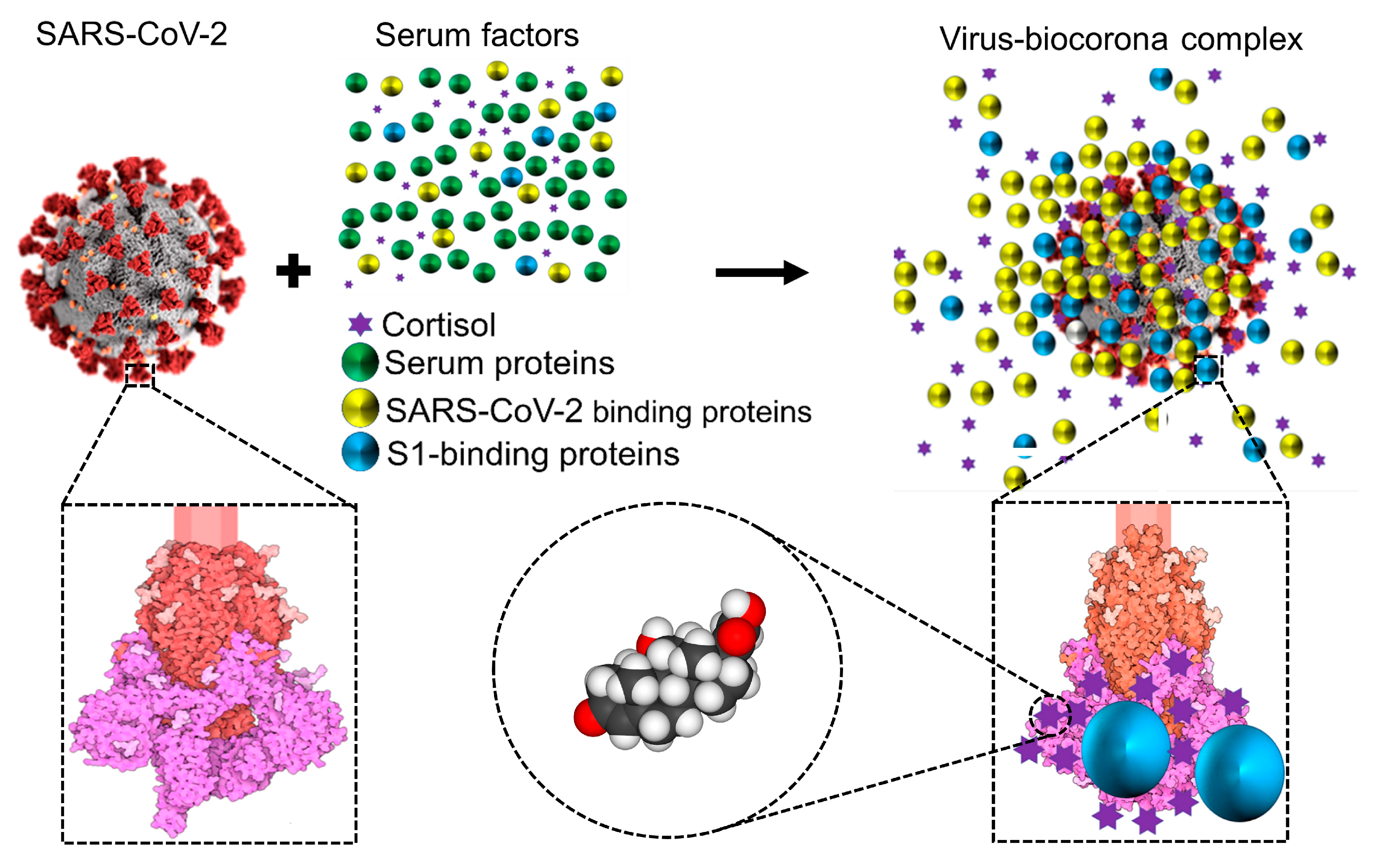 Preprints 76786 g003