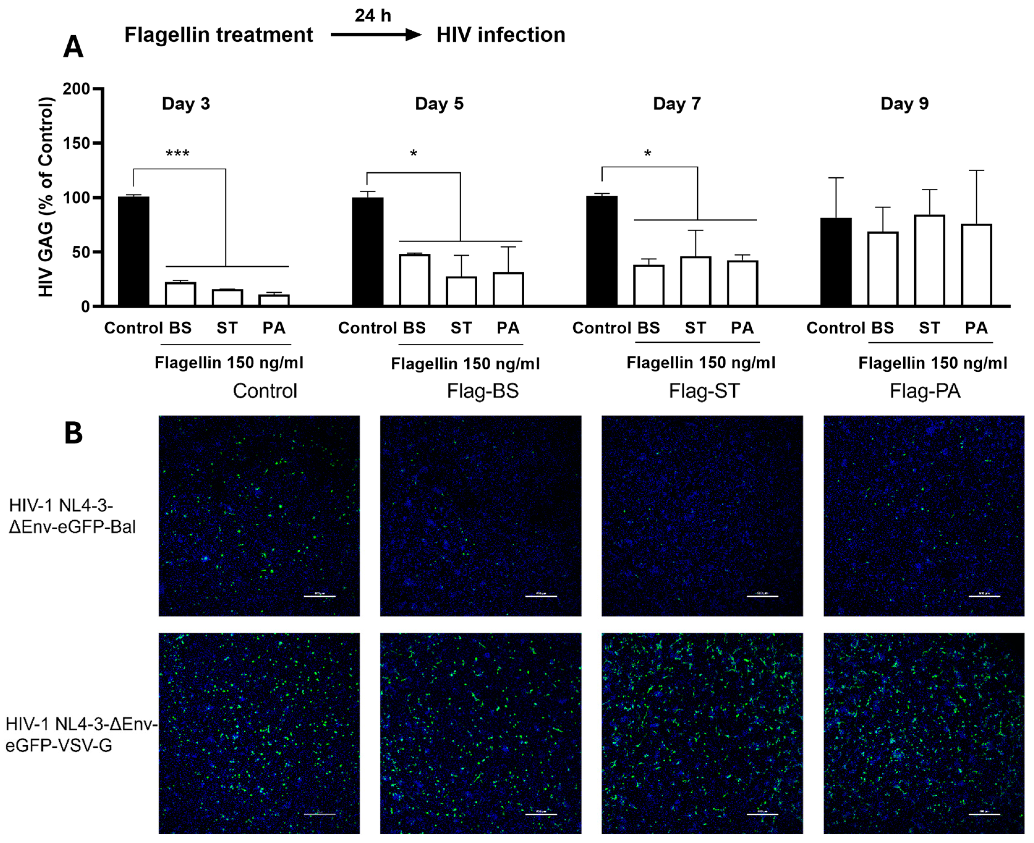 Preprints 107149 g001