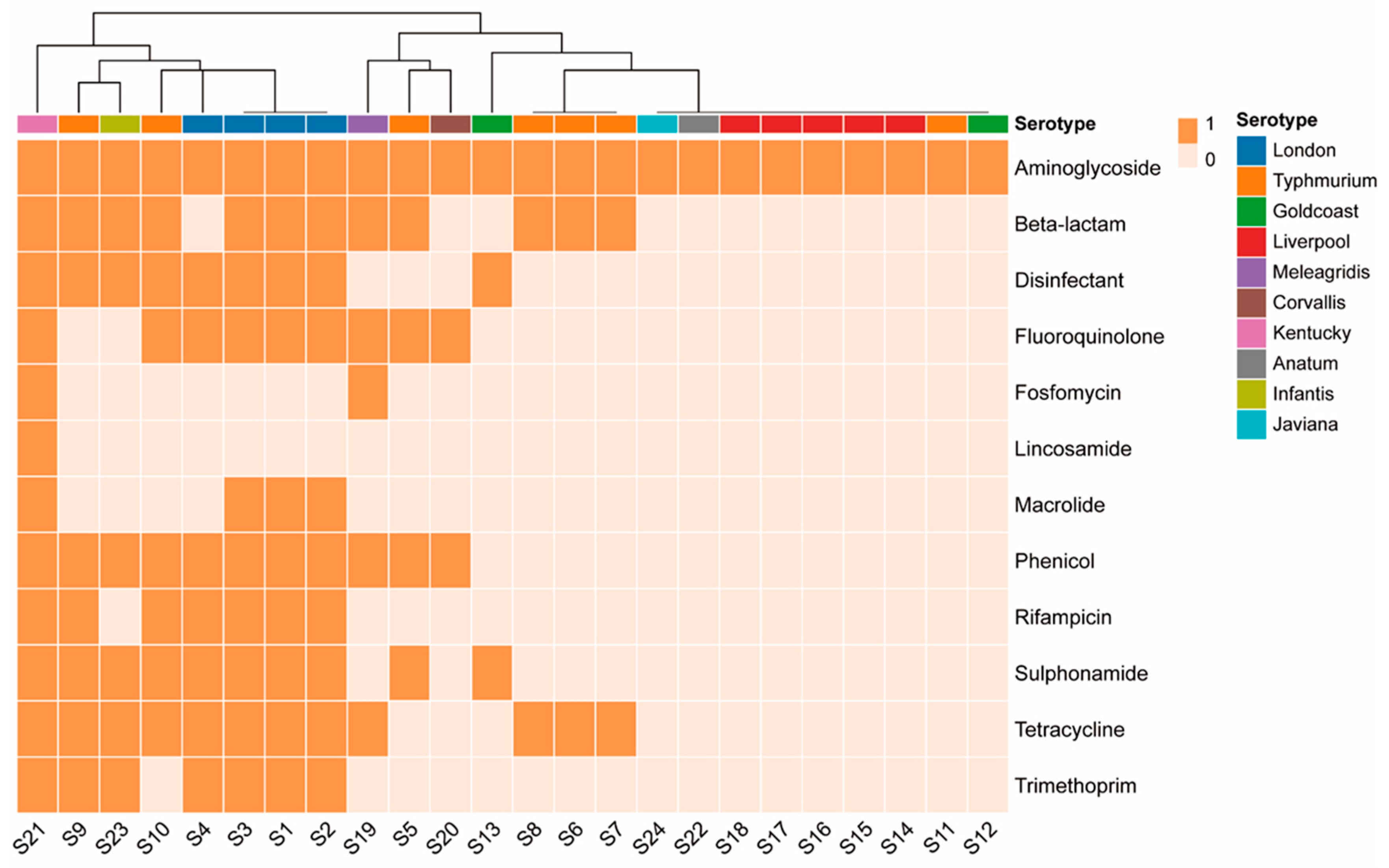 Preprints 118226 g001