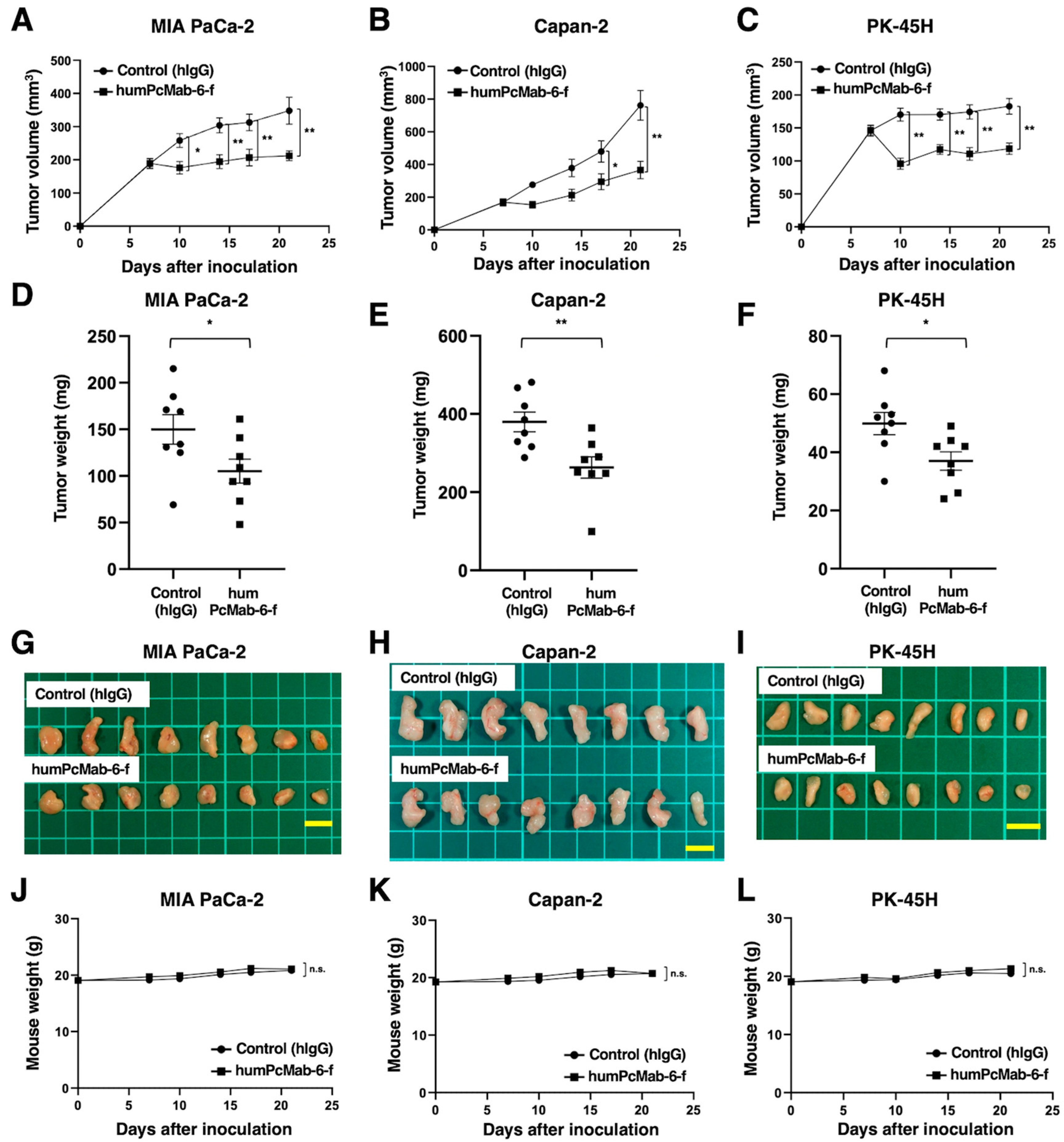 Preprints 88287 g006