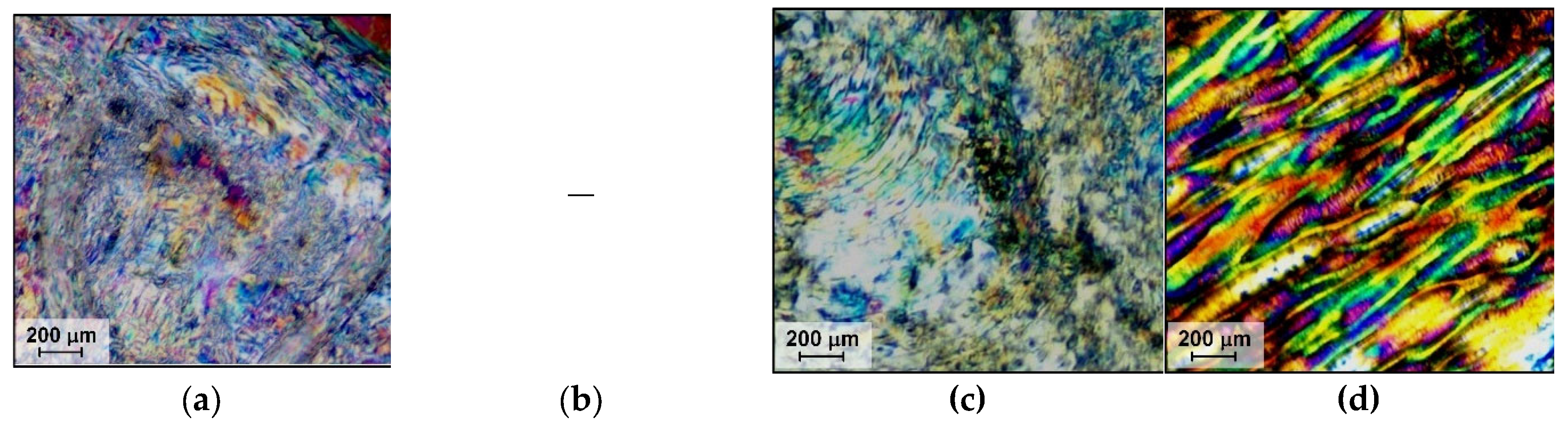 Preprints 106417 g011