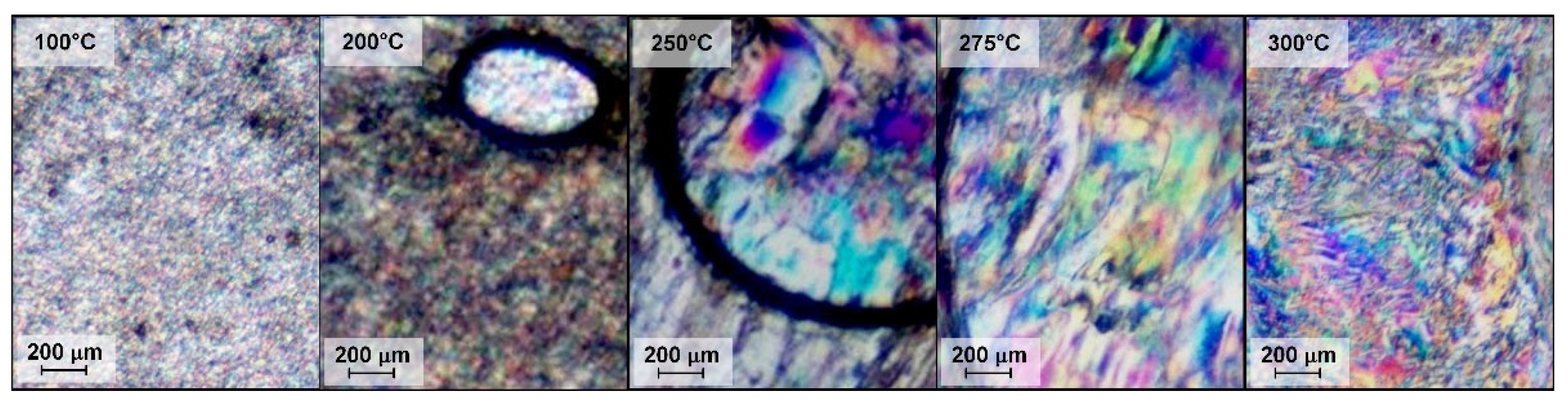 Preprints 106417 g012