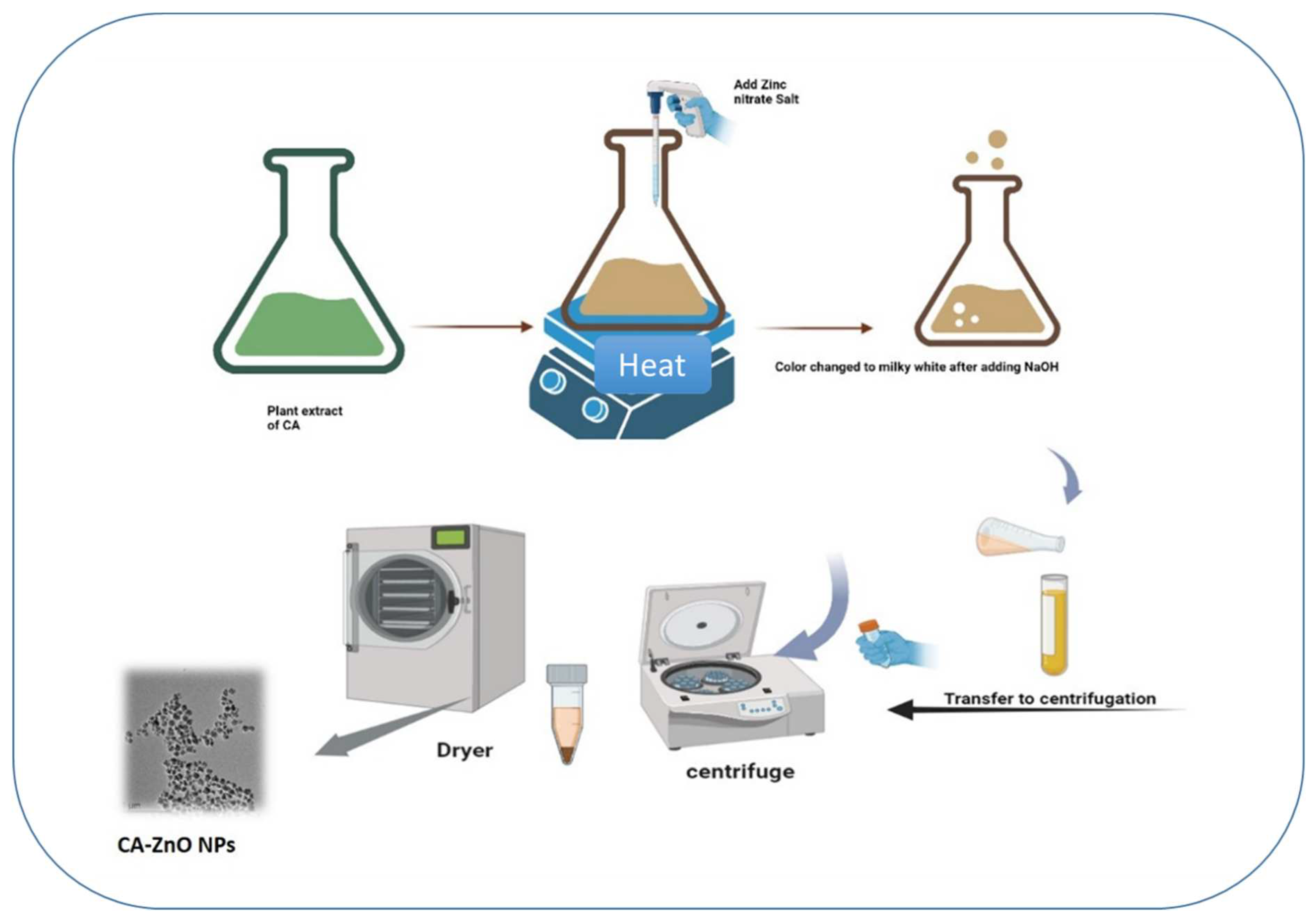 Preprints 82511 g002