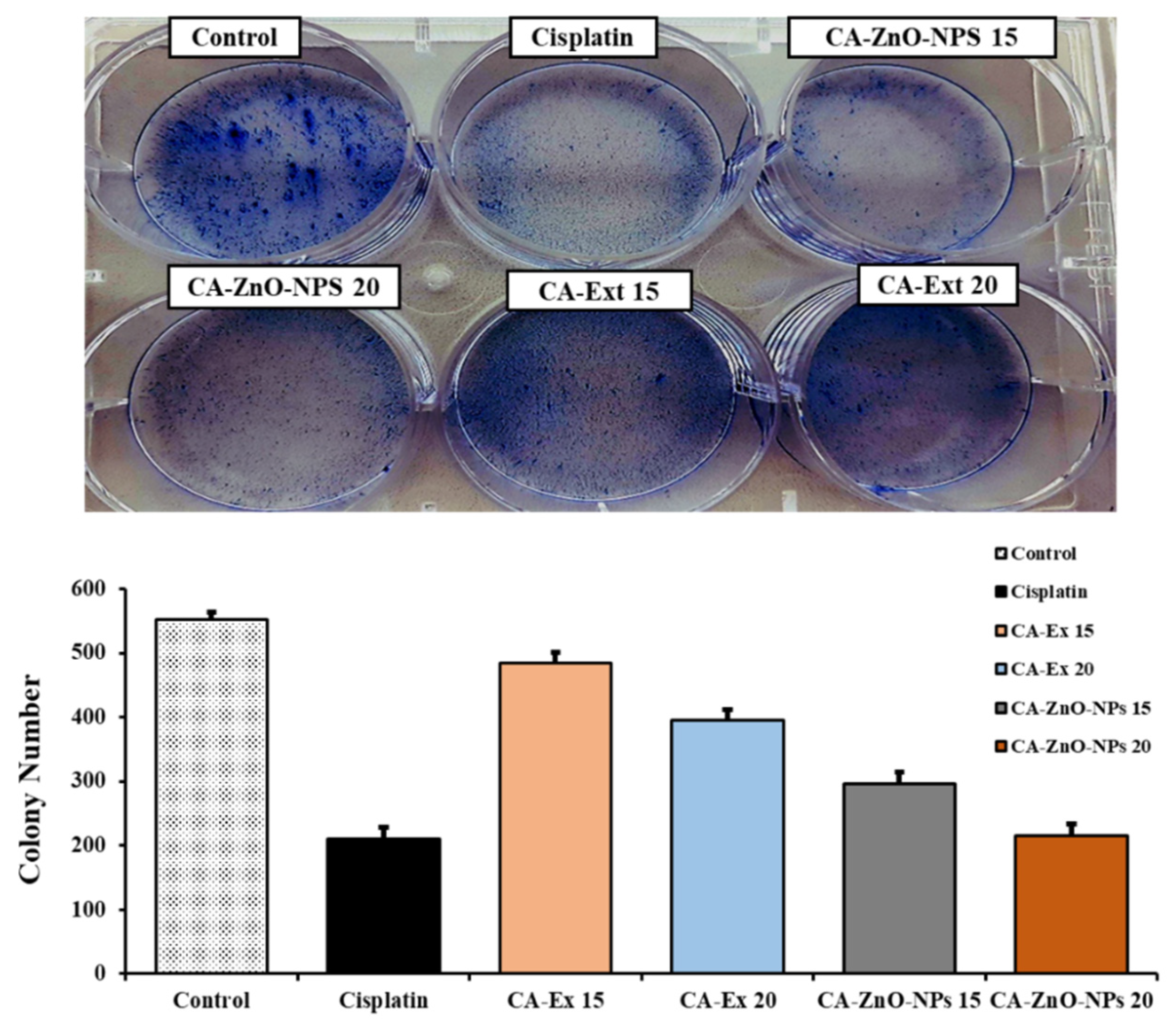 Preprints 82511 g009