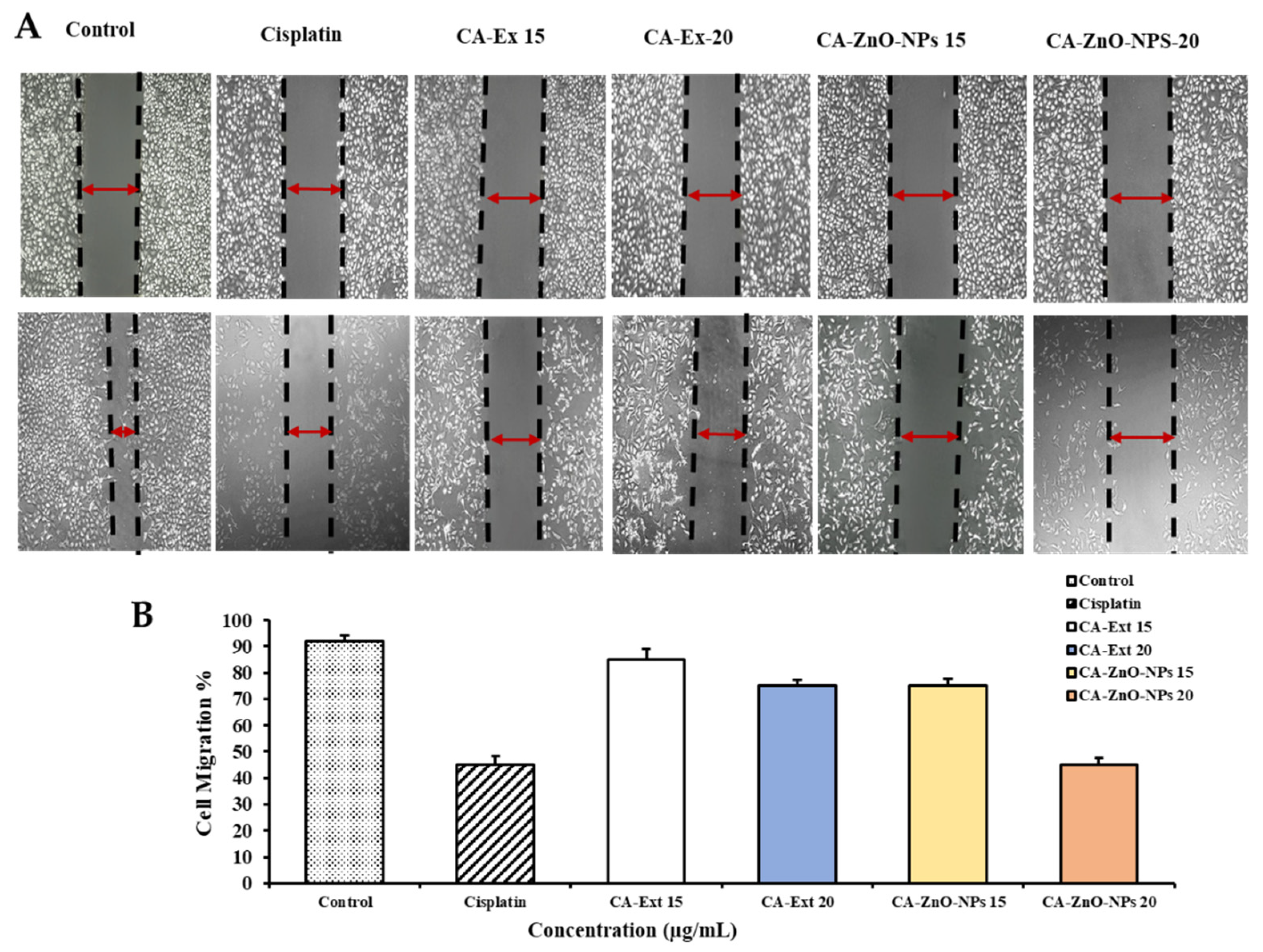 Preprints 82511 g010