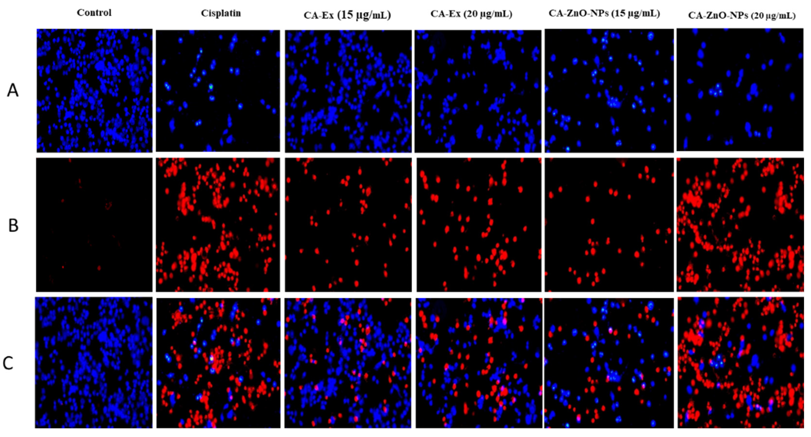 Preprints 82511 g011