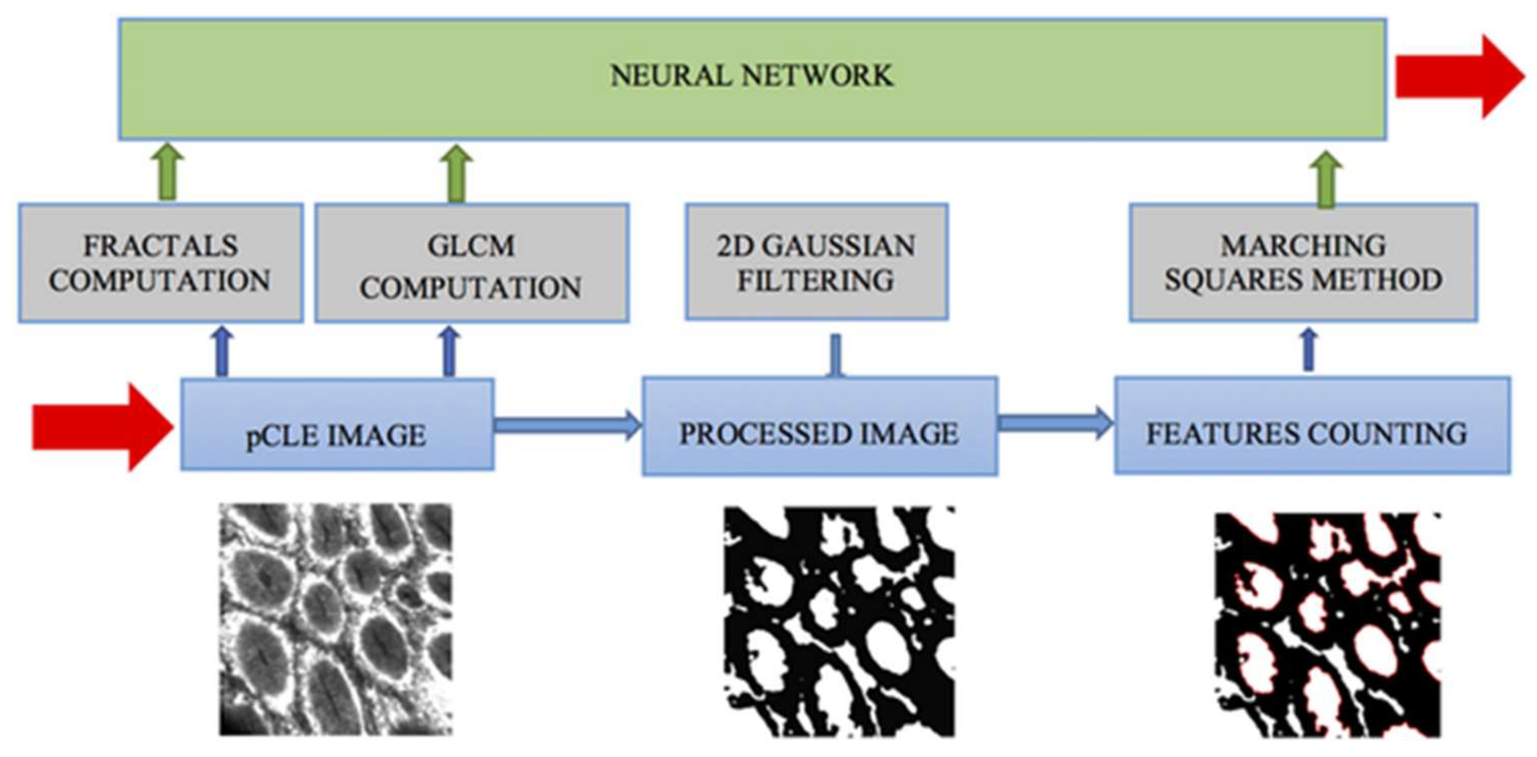 Preprints 95347 g005