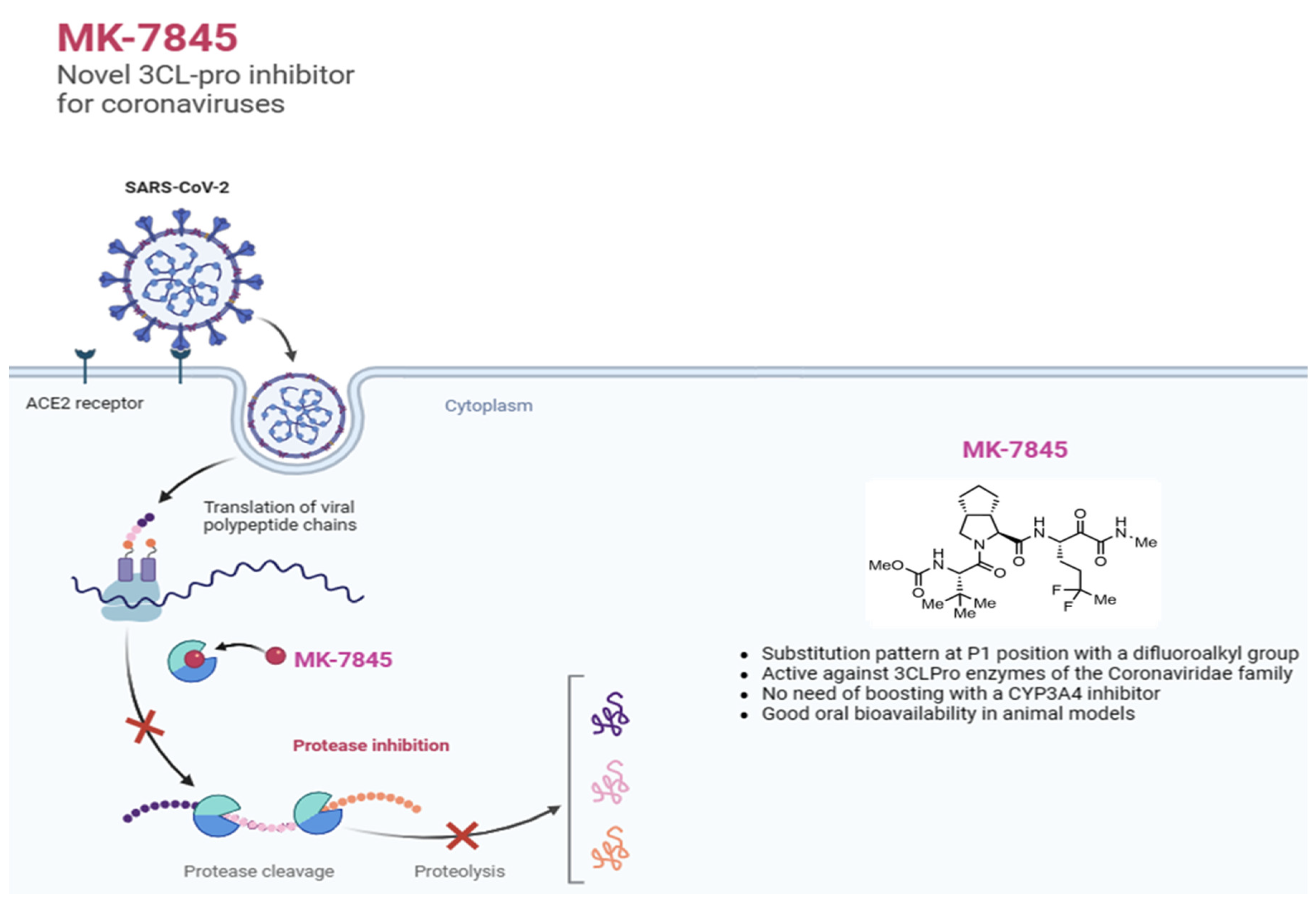 Preprints 109715 g001