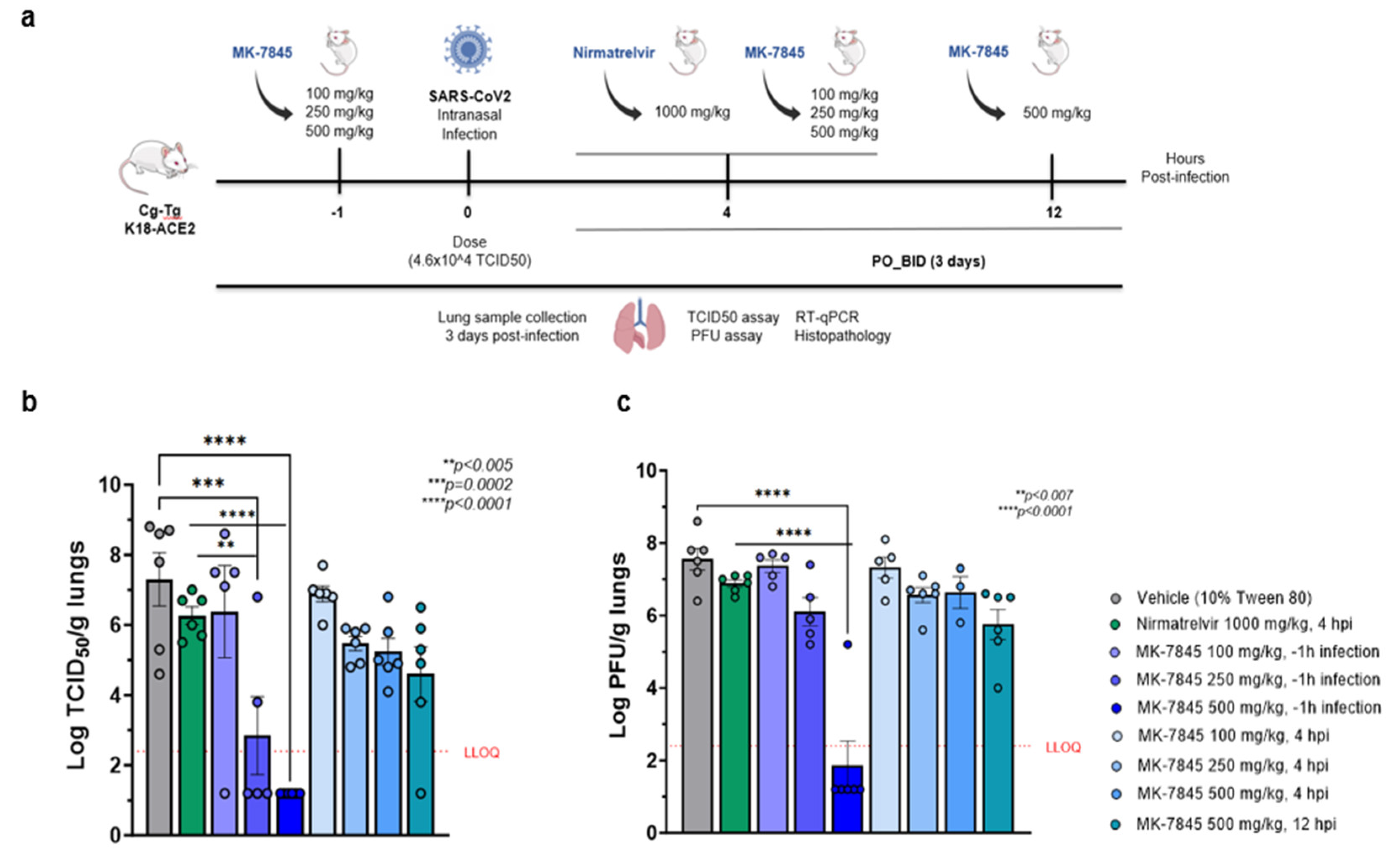 Preprints 109715 g003