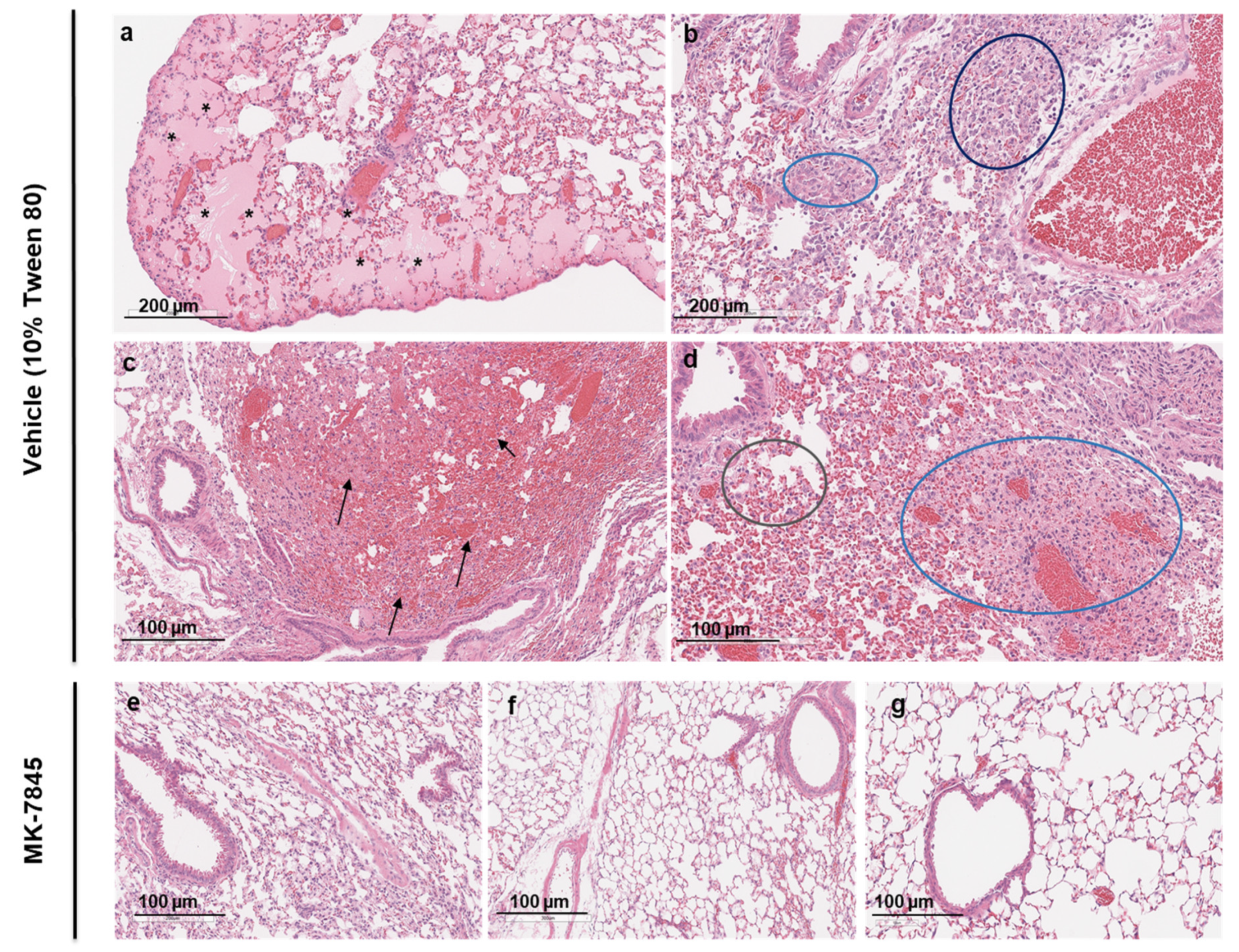 Preprints 109715 g005