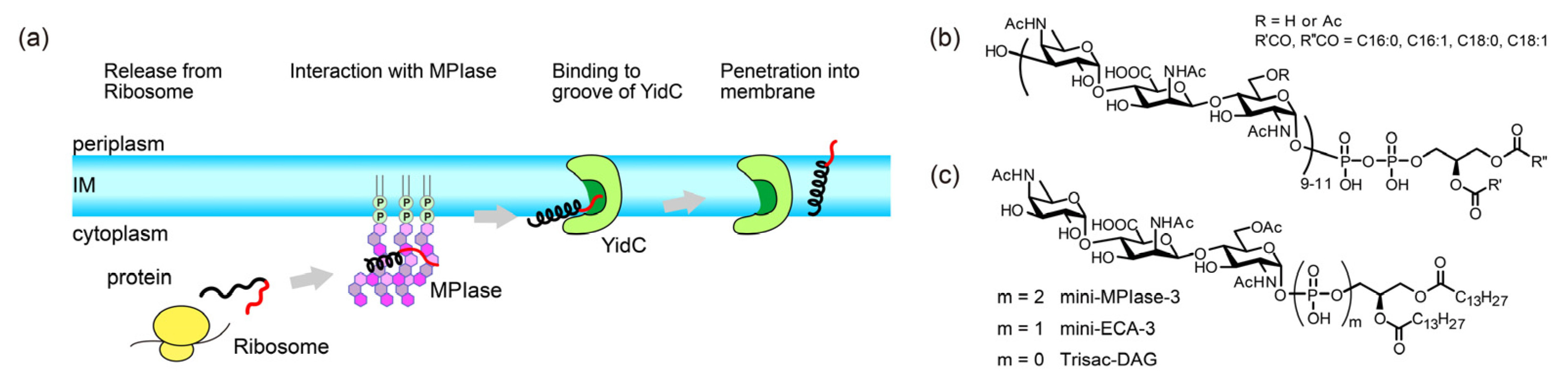 Preprints 94382 g001