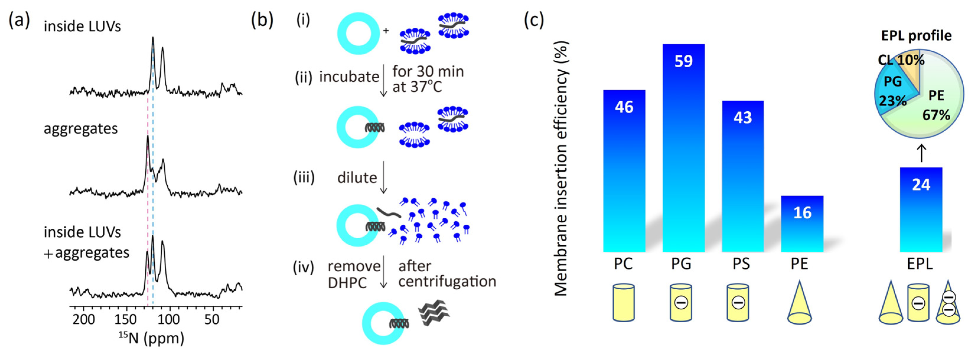 Preprints 94382 g003