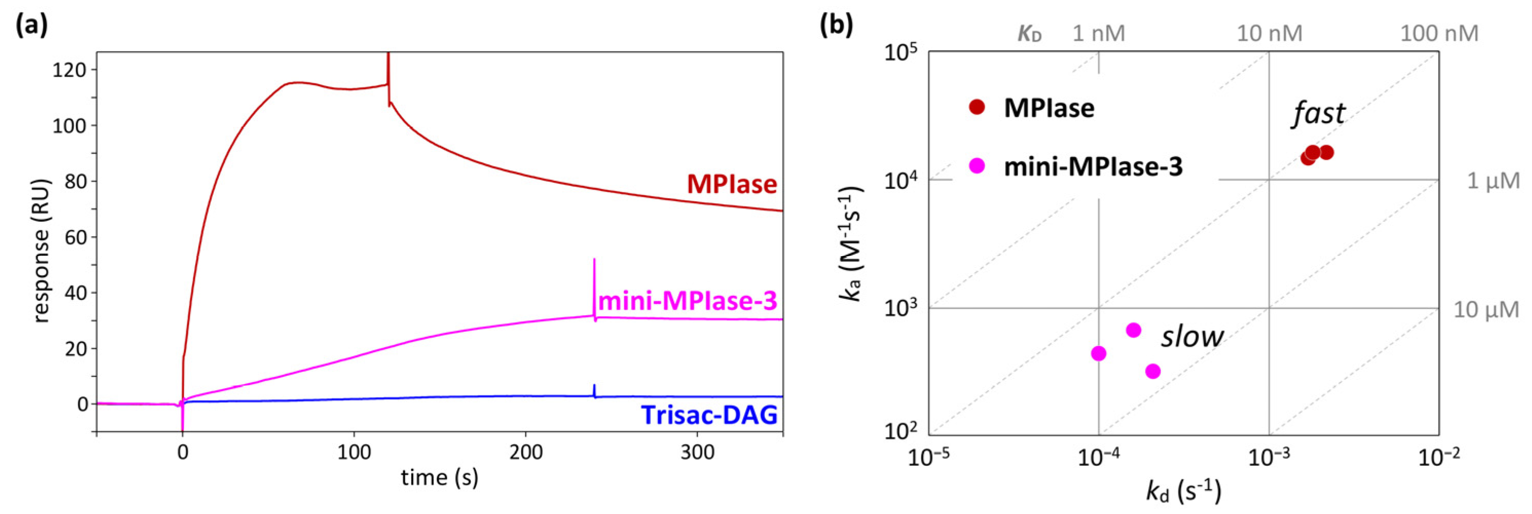 Preprints 94382 g009