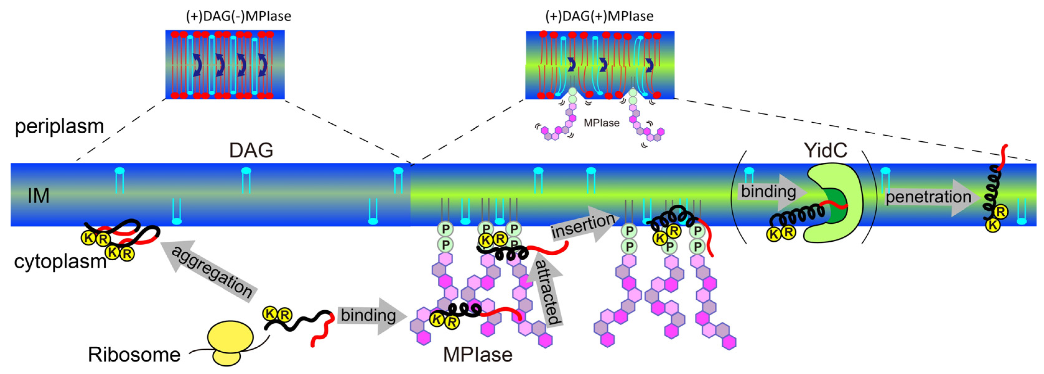 Preprints 94382 g012