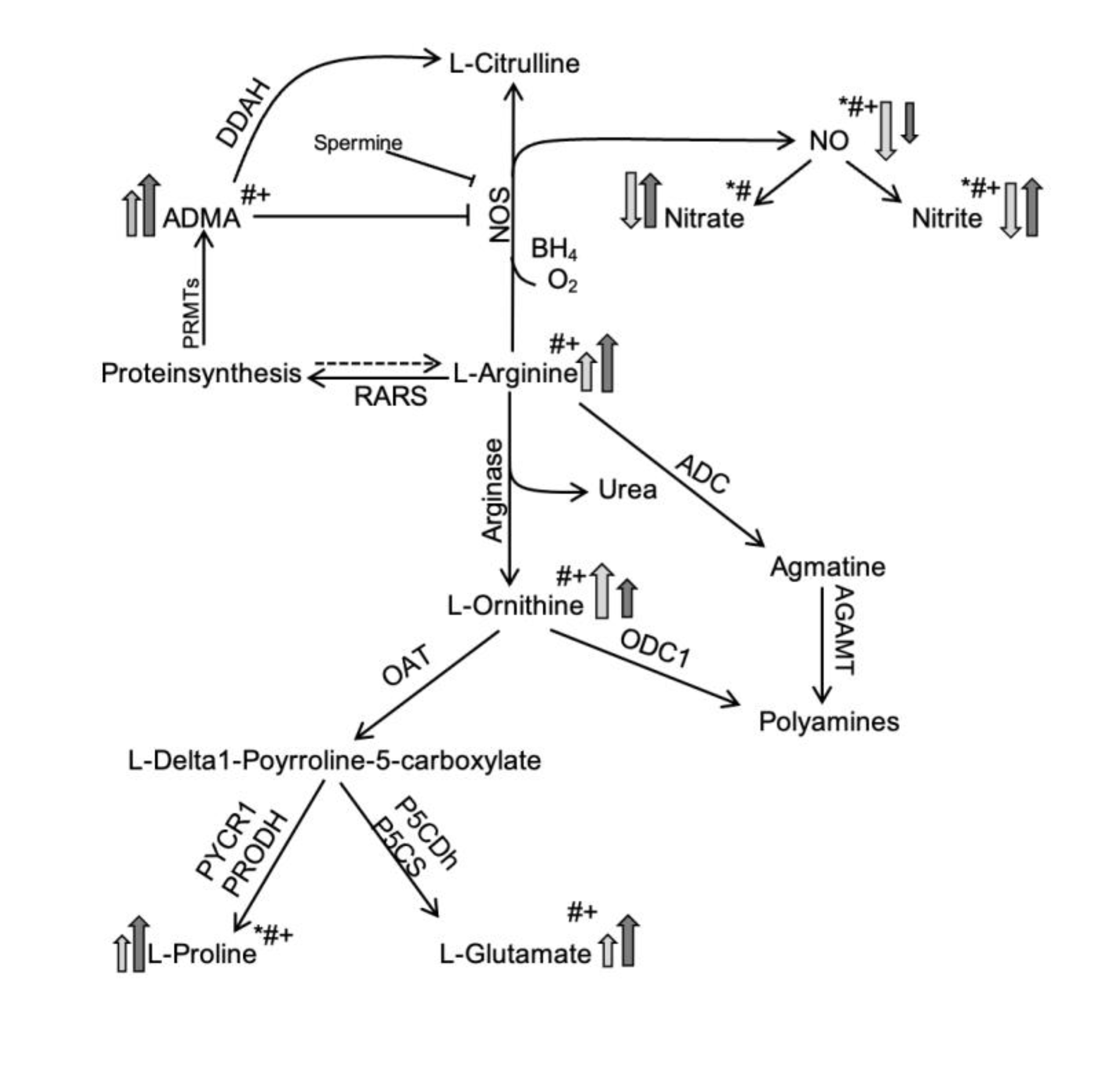 Preprints 81638 g003