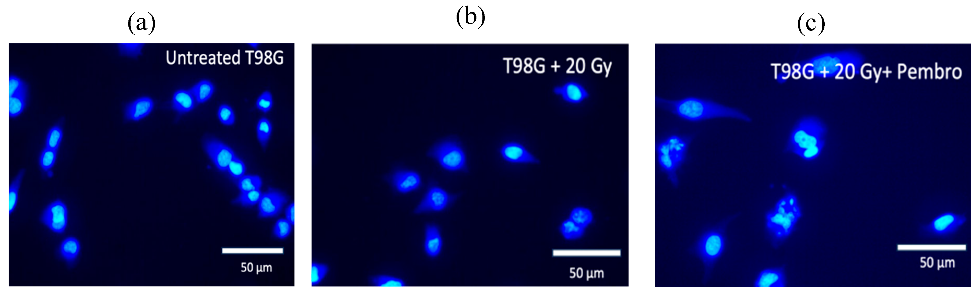 Preprints 92422 g005