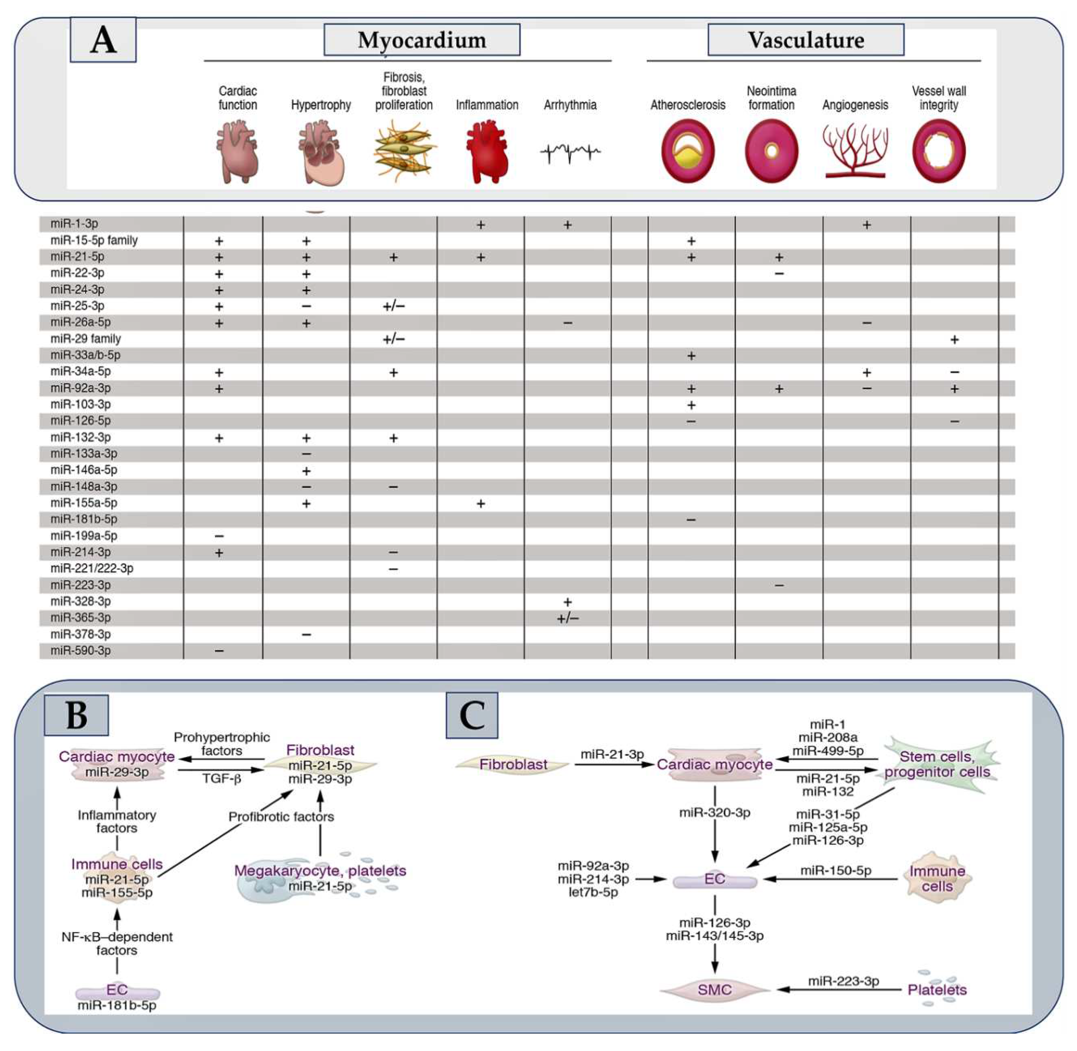 Preprints 97123 g003