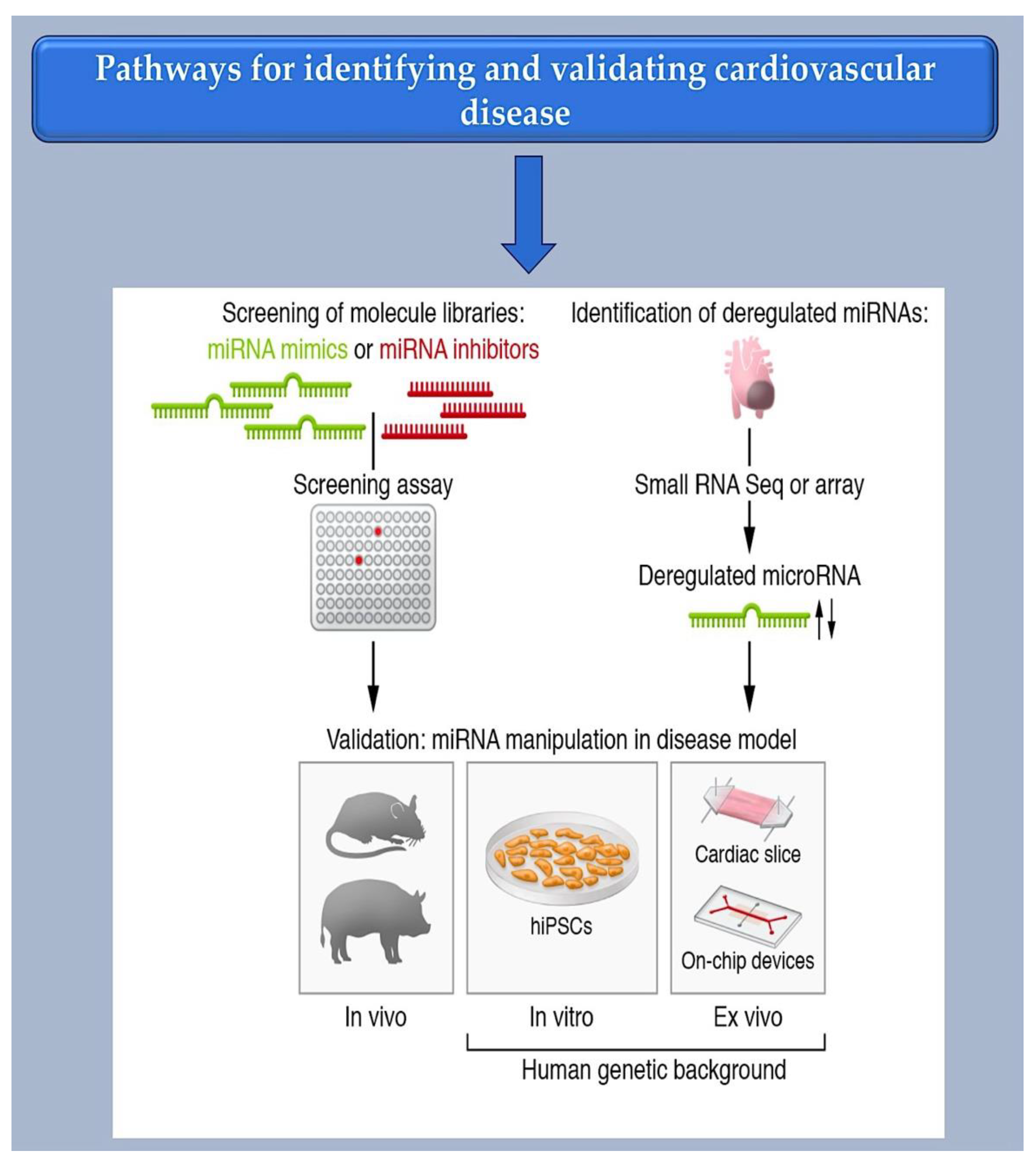 Preprints 97123 g004