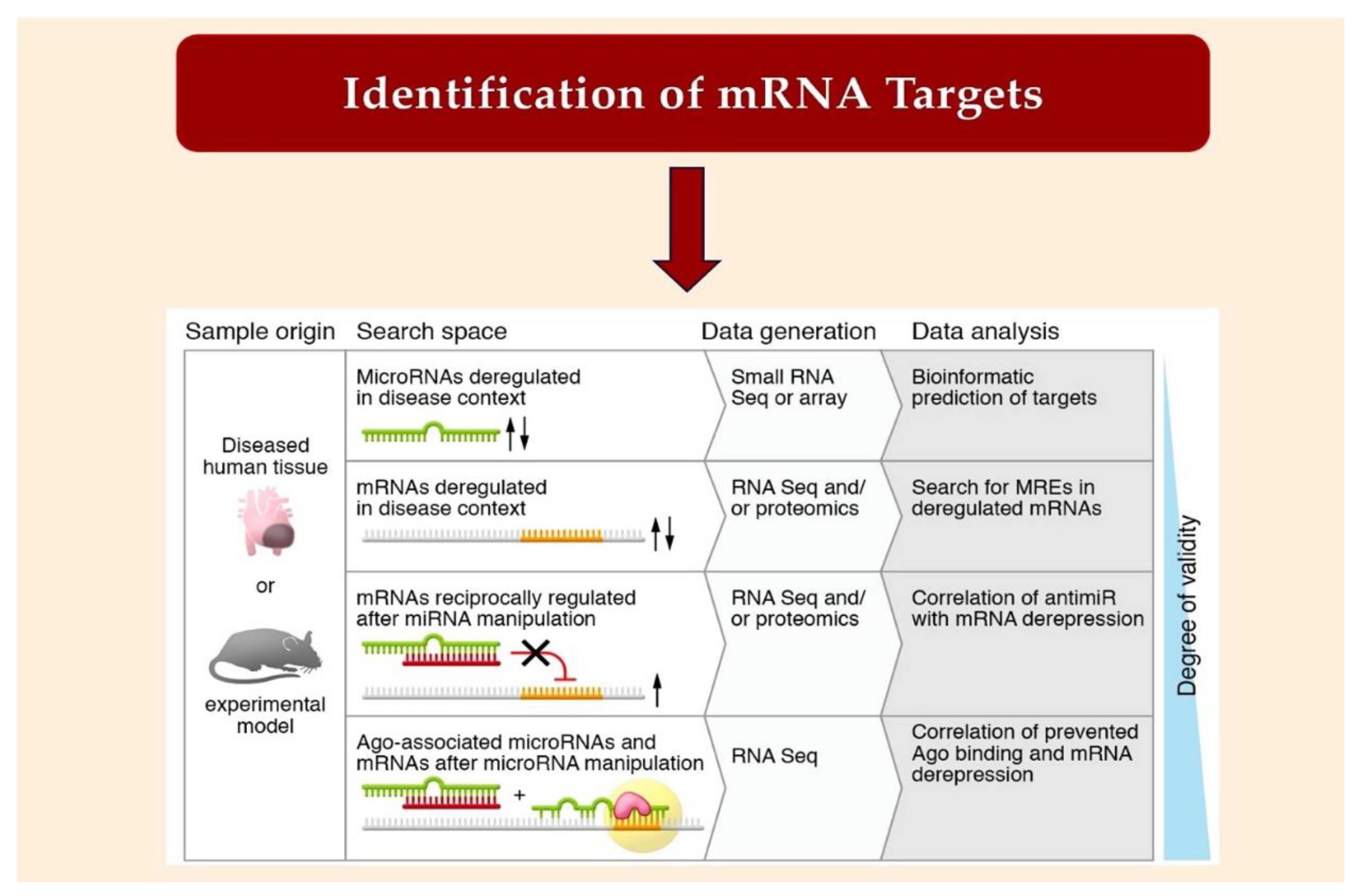 Preprints 97123 g005