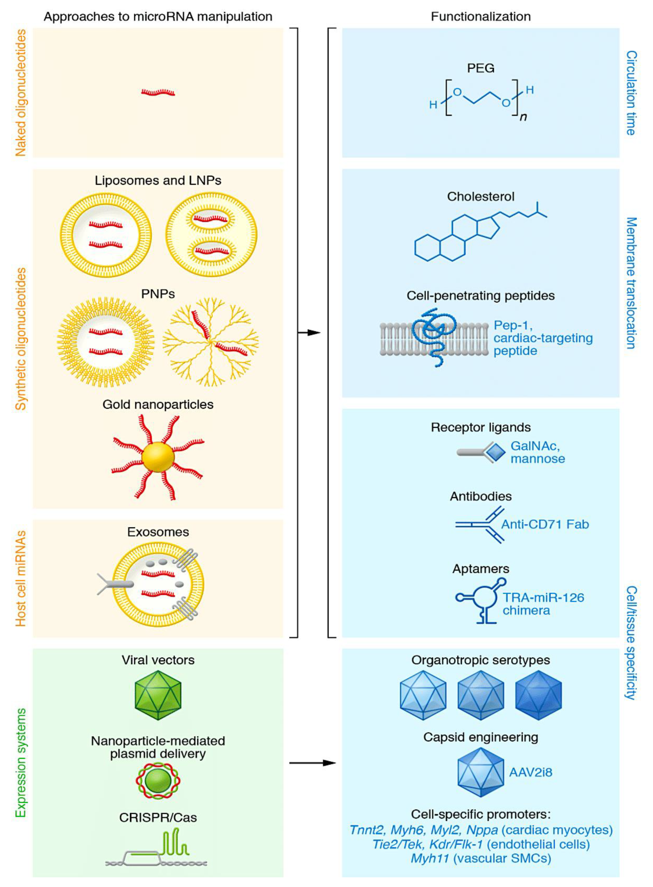 Preprints 97123 g006