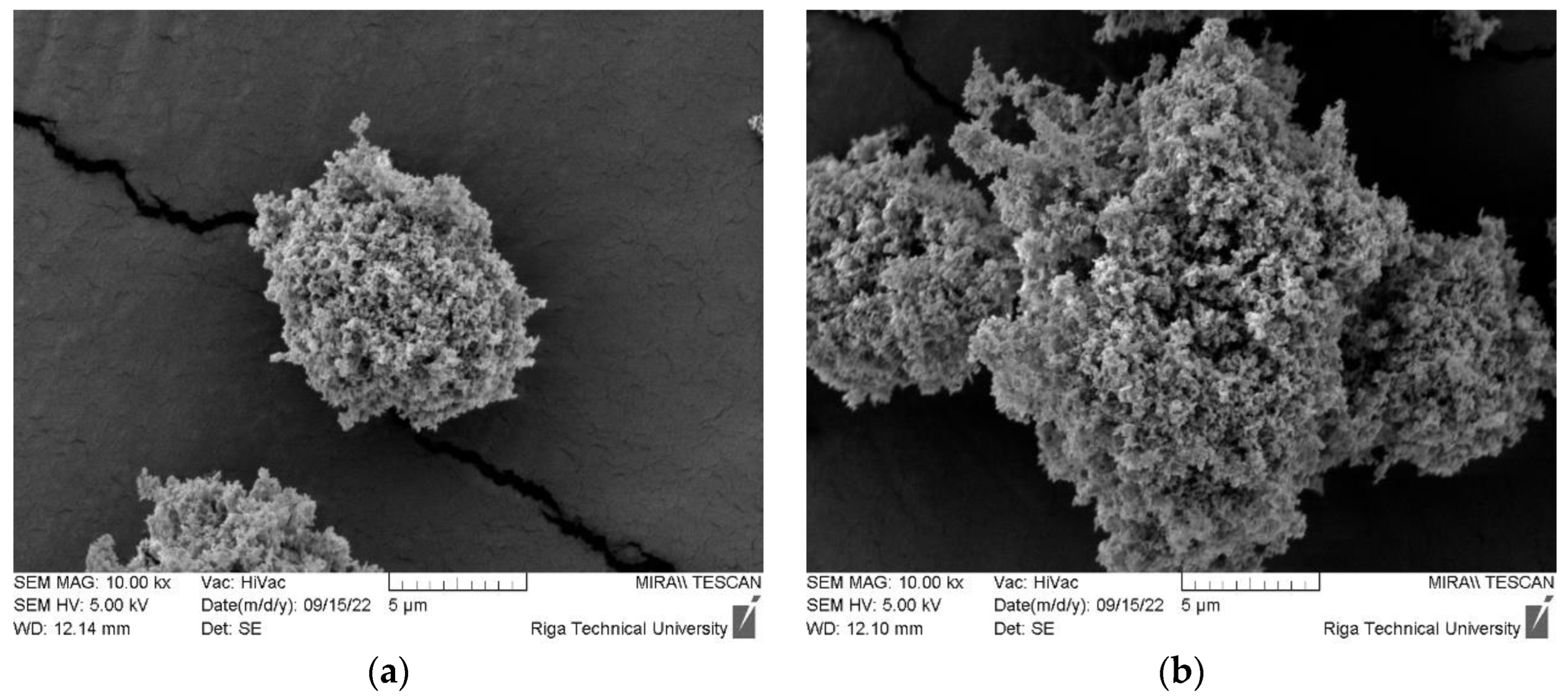 Preprints 89941 g002