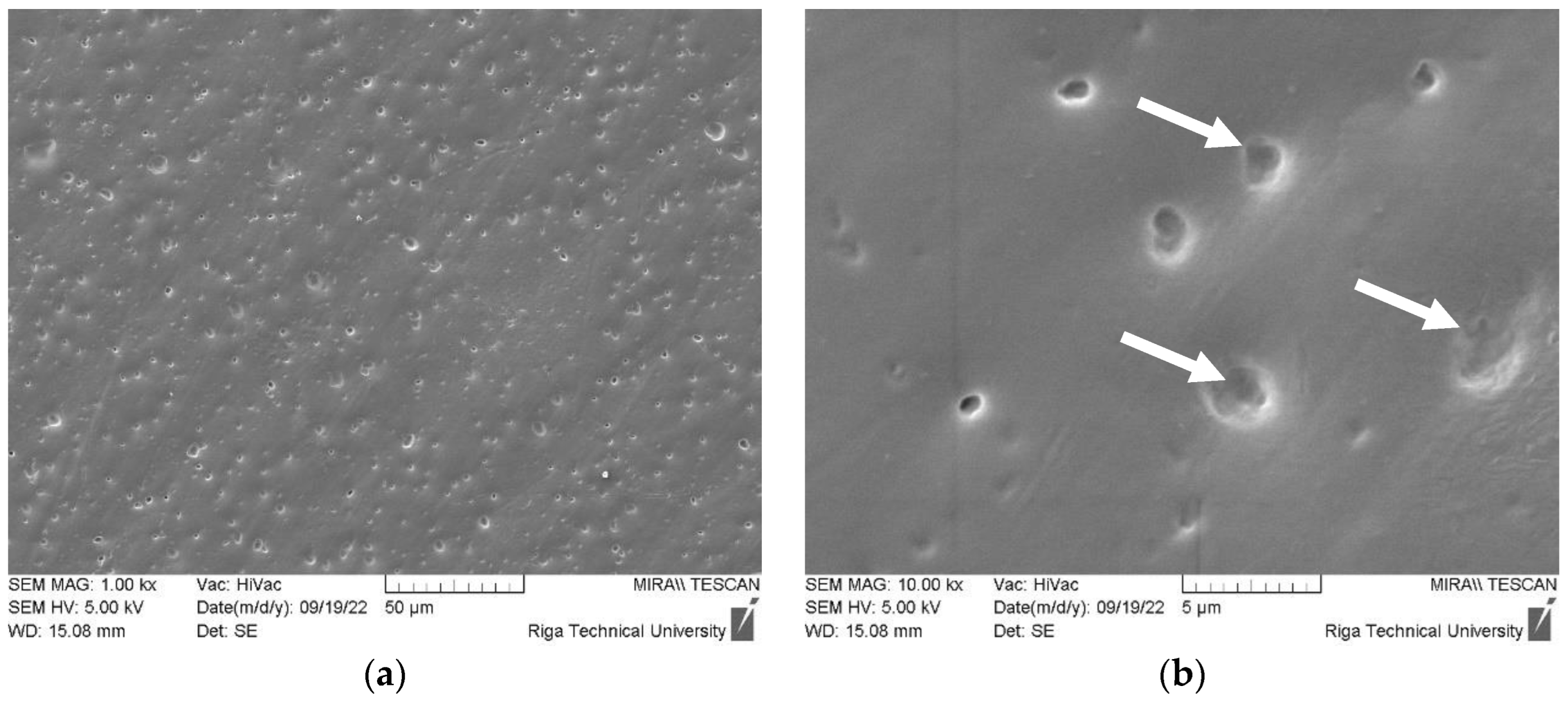 Preprints 89941 g011