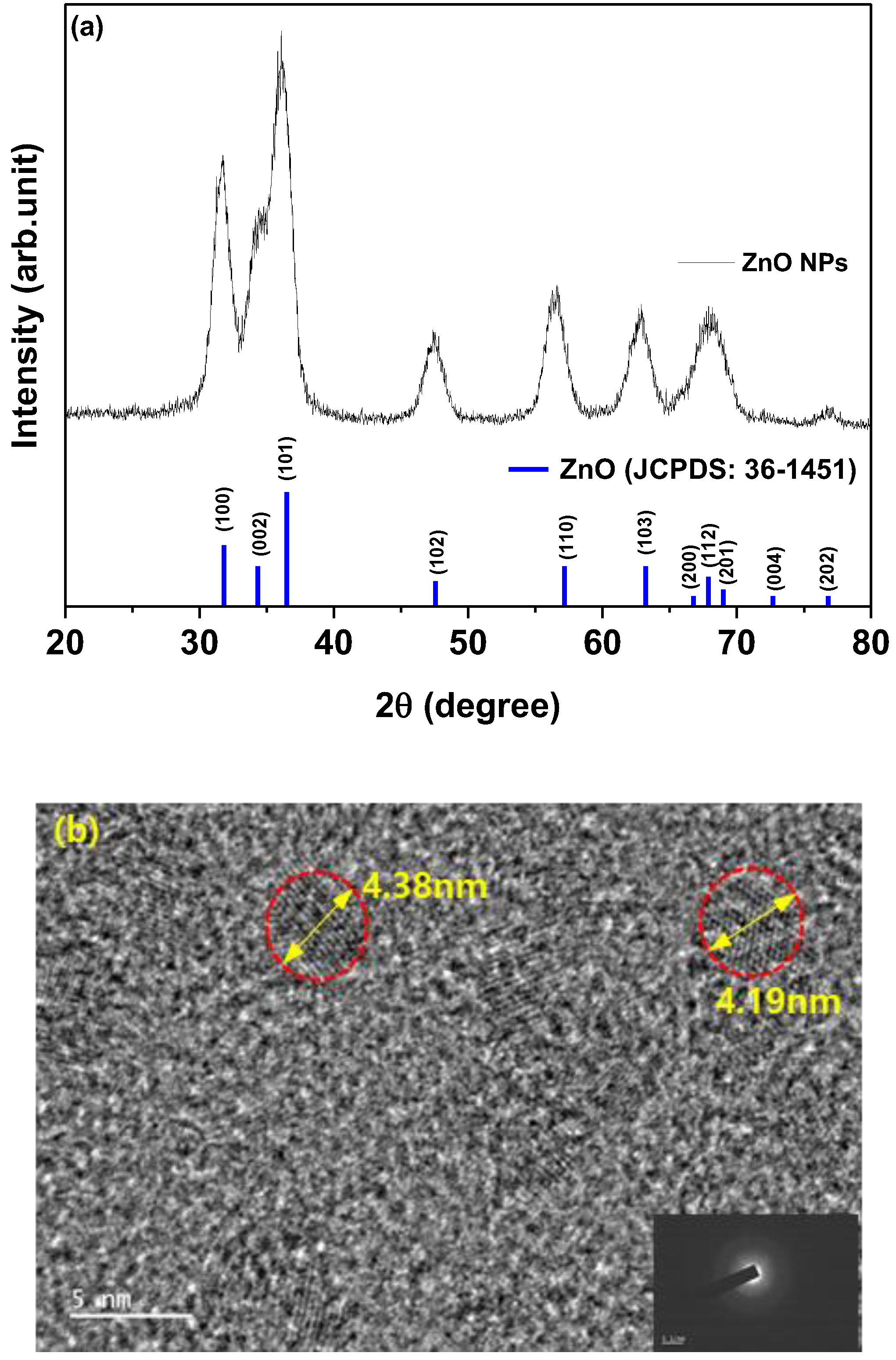 Preprints 94723 g002