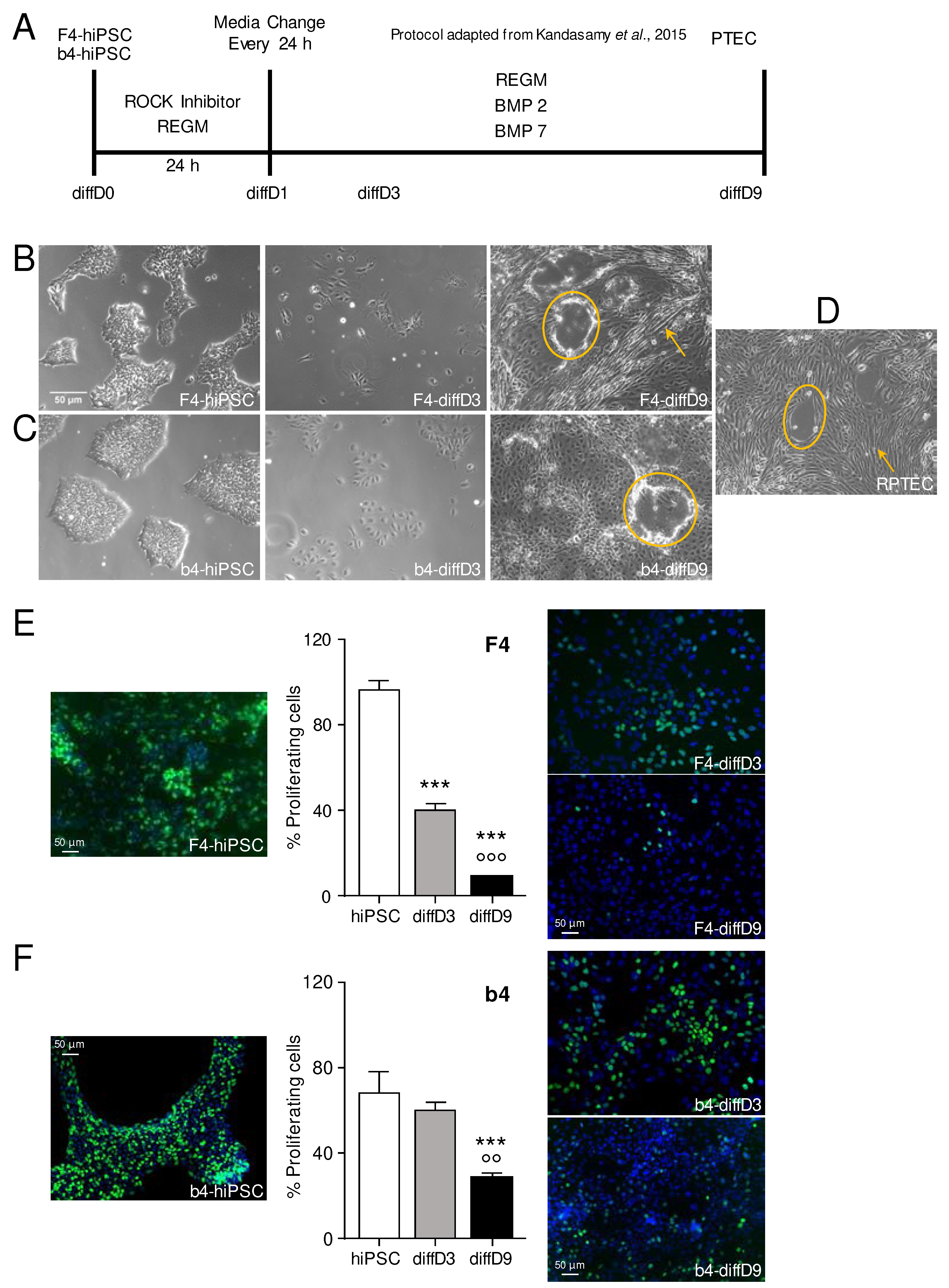 Preprints 91117 g001