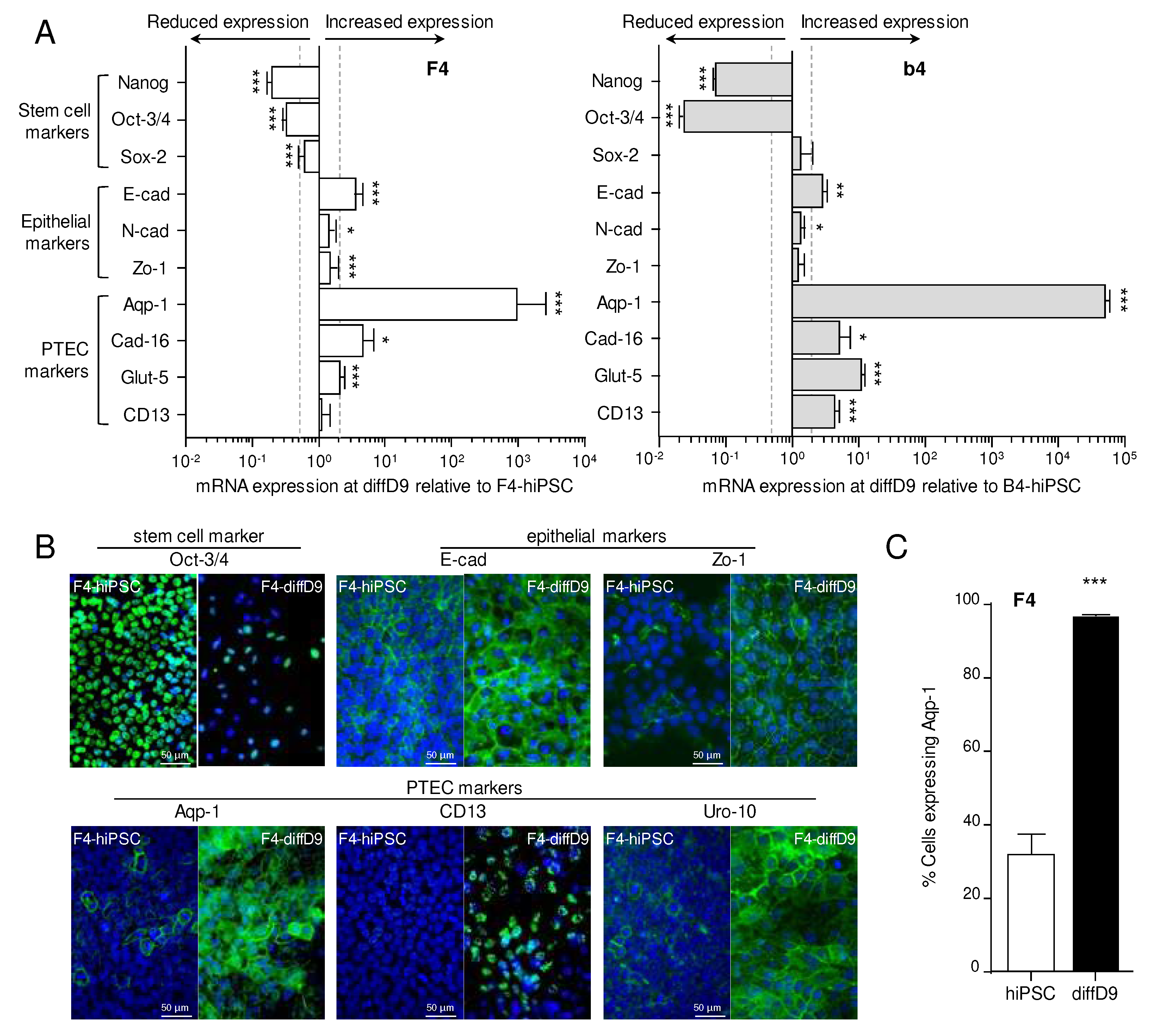 Preprints 91117 g002