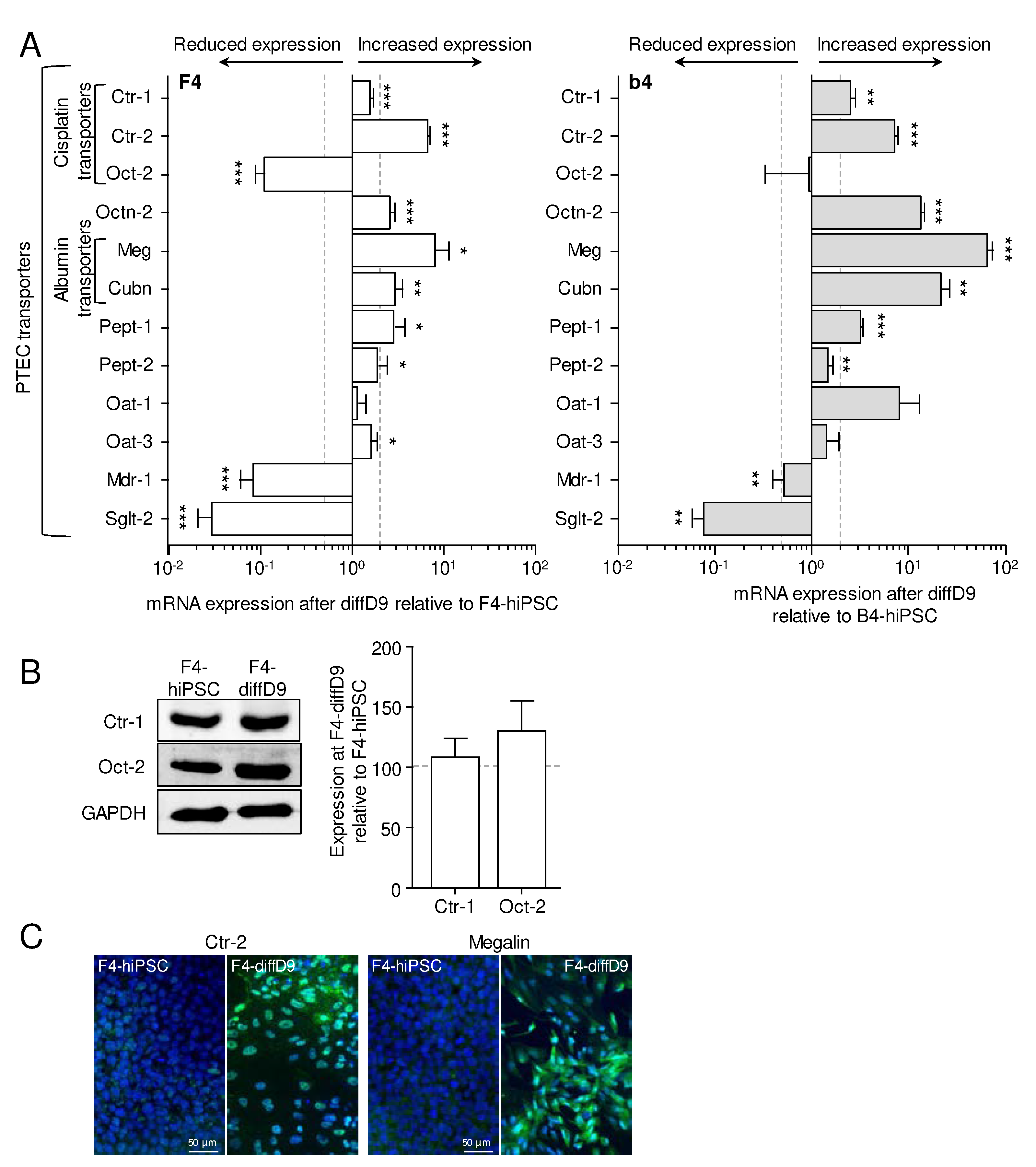 Preprints 91117 g003