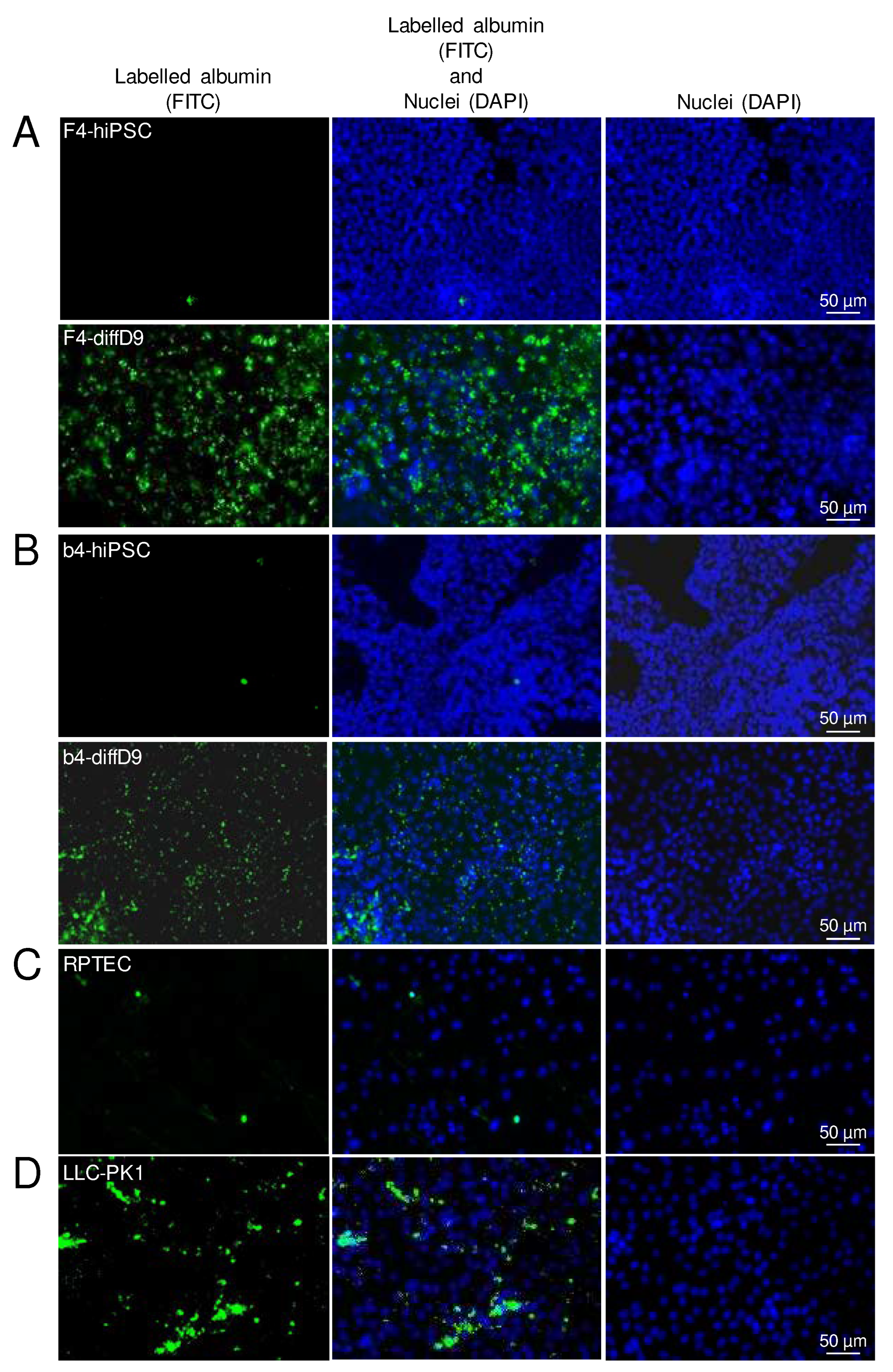 Preprints 91117 g004